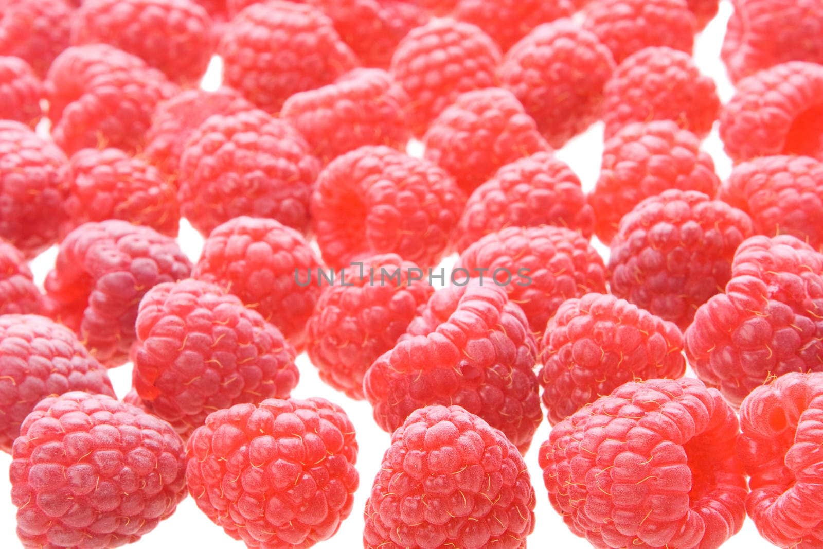 ripe raspbery