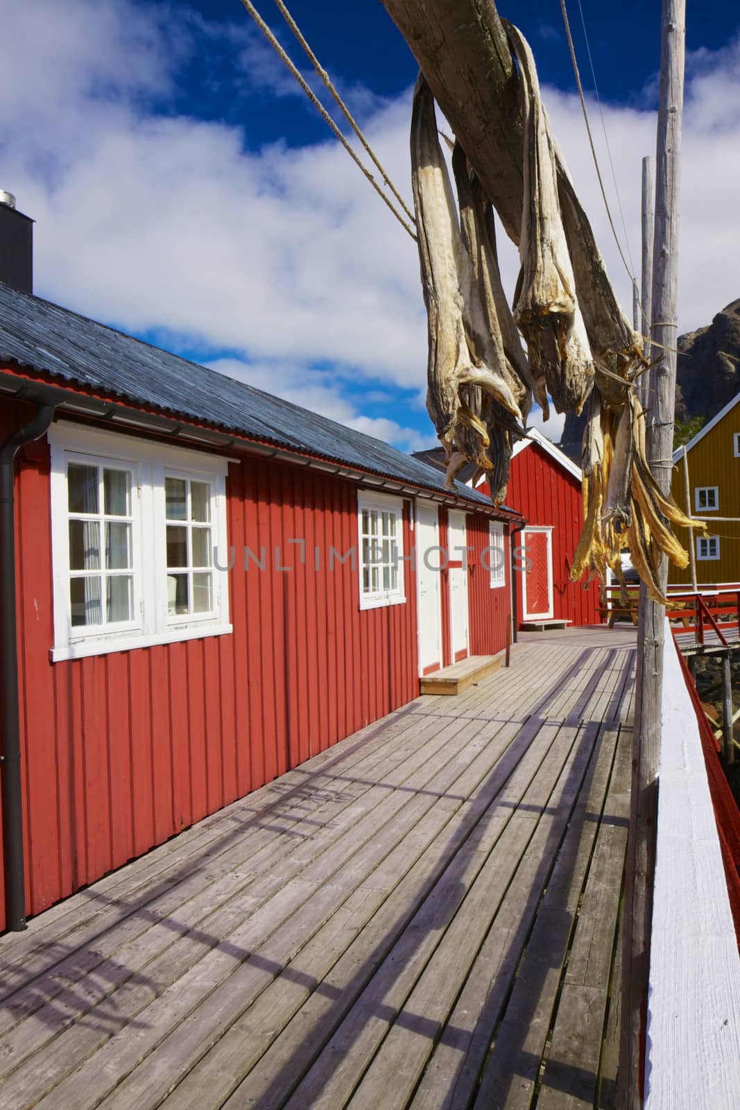 Traditional fishing hut and dried stock fish in Nusfjord on Lofoten islands, Norway