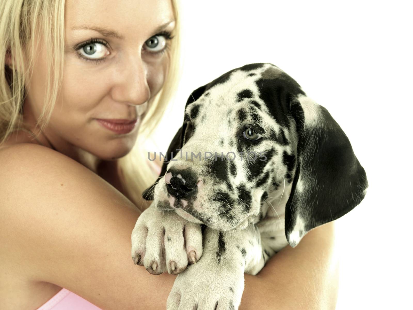 Young Woman Holding Puppy. Model Released by Whiteboxmedia