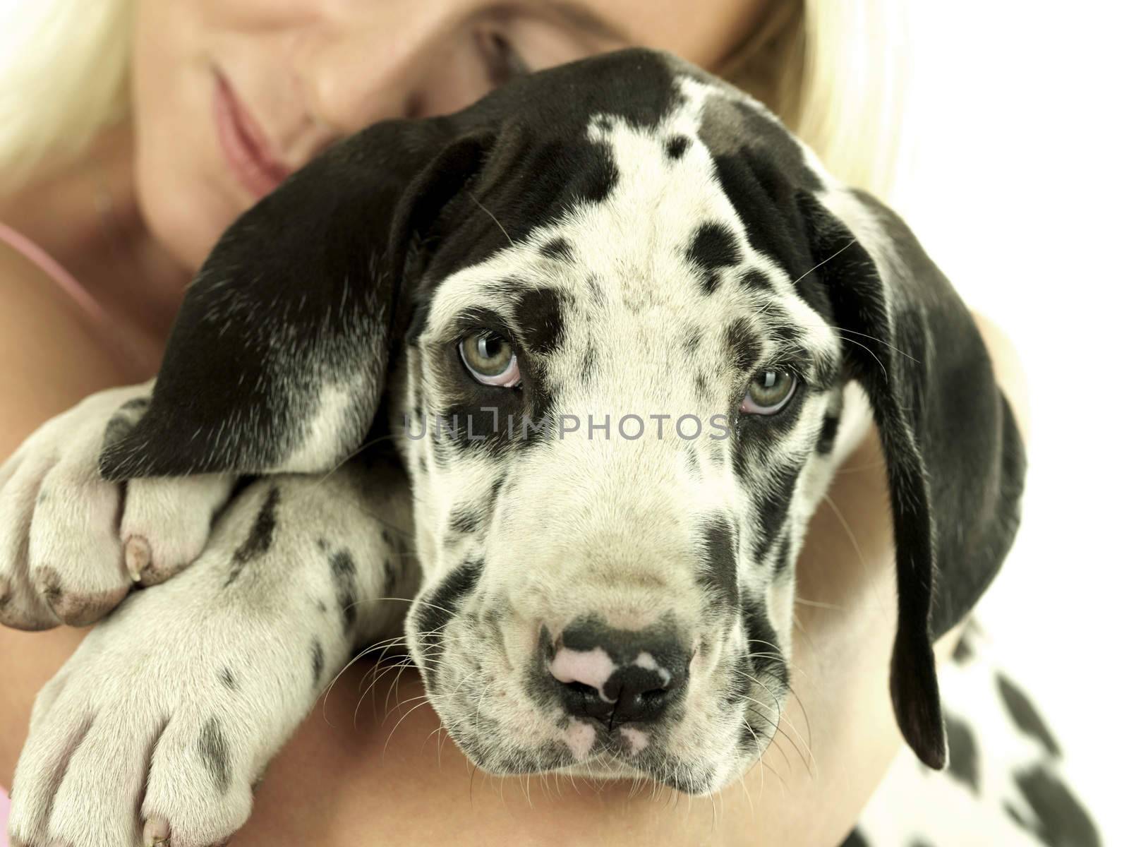 Young Woman Holding Puppy. Model Released