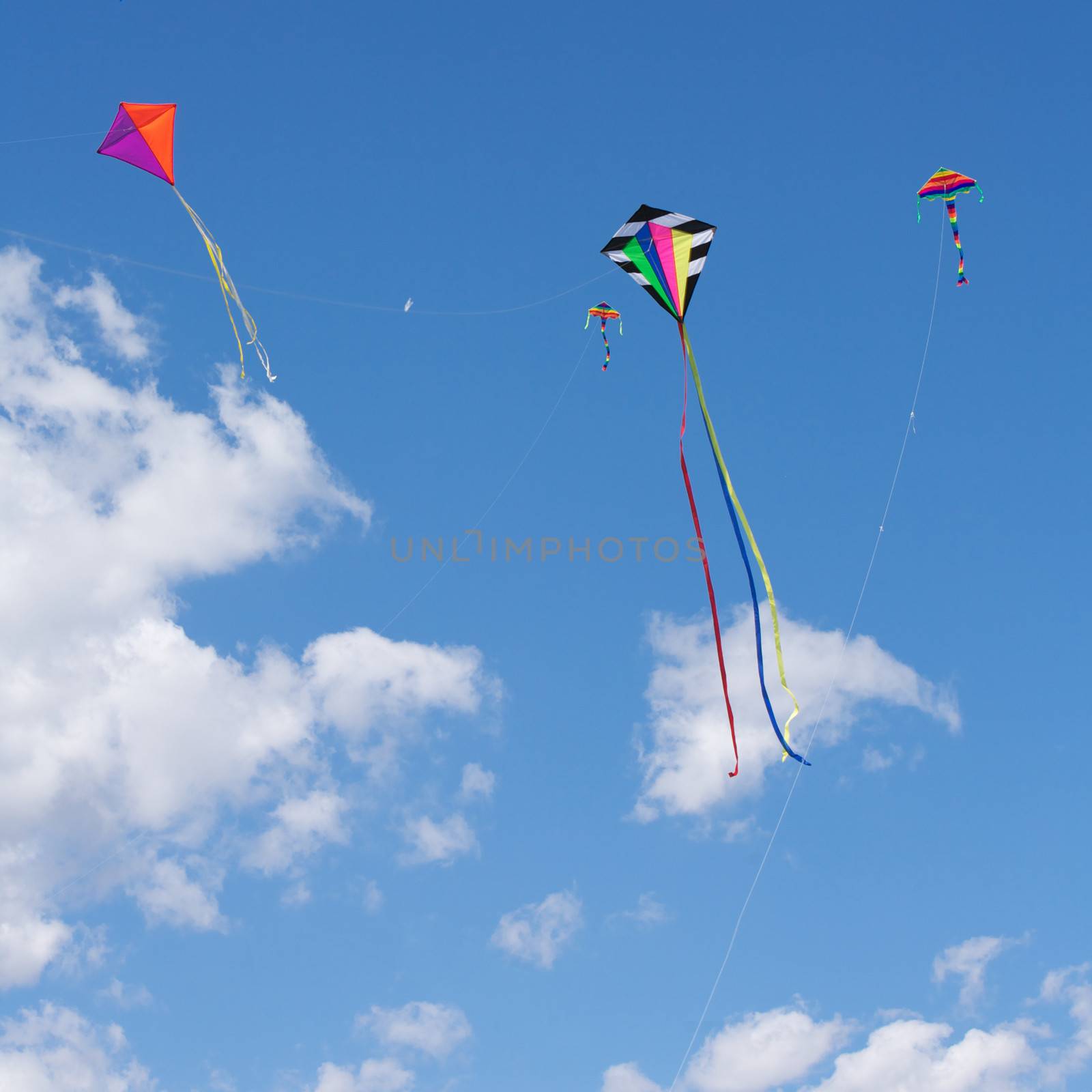 Kites Flying by instinia