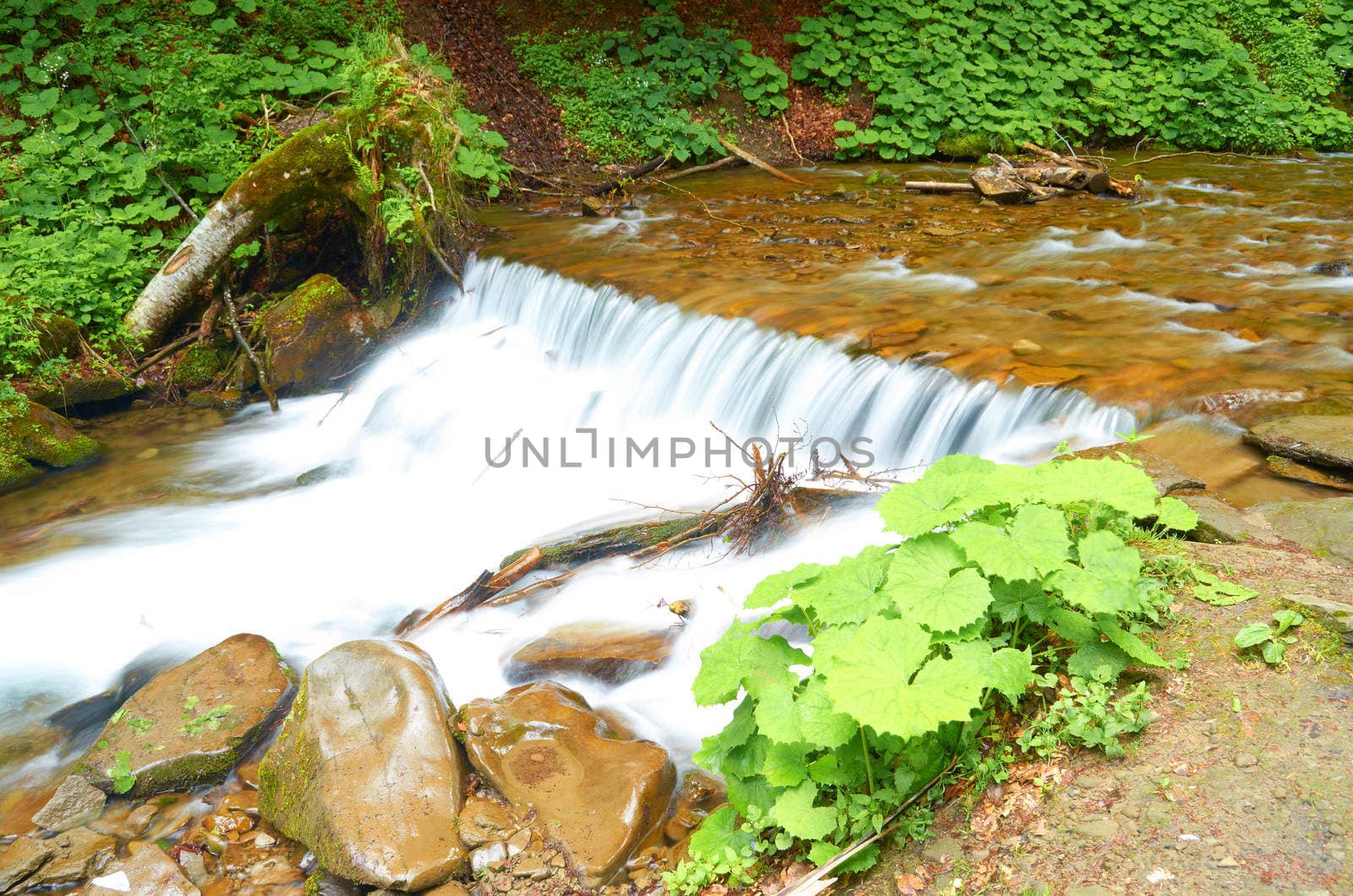 The mountain river in the European mountains