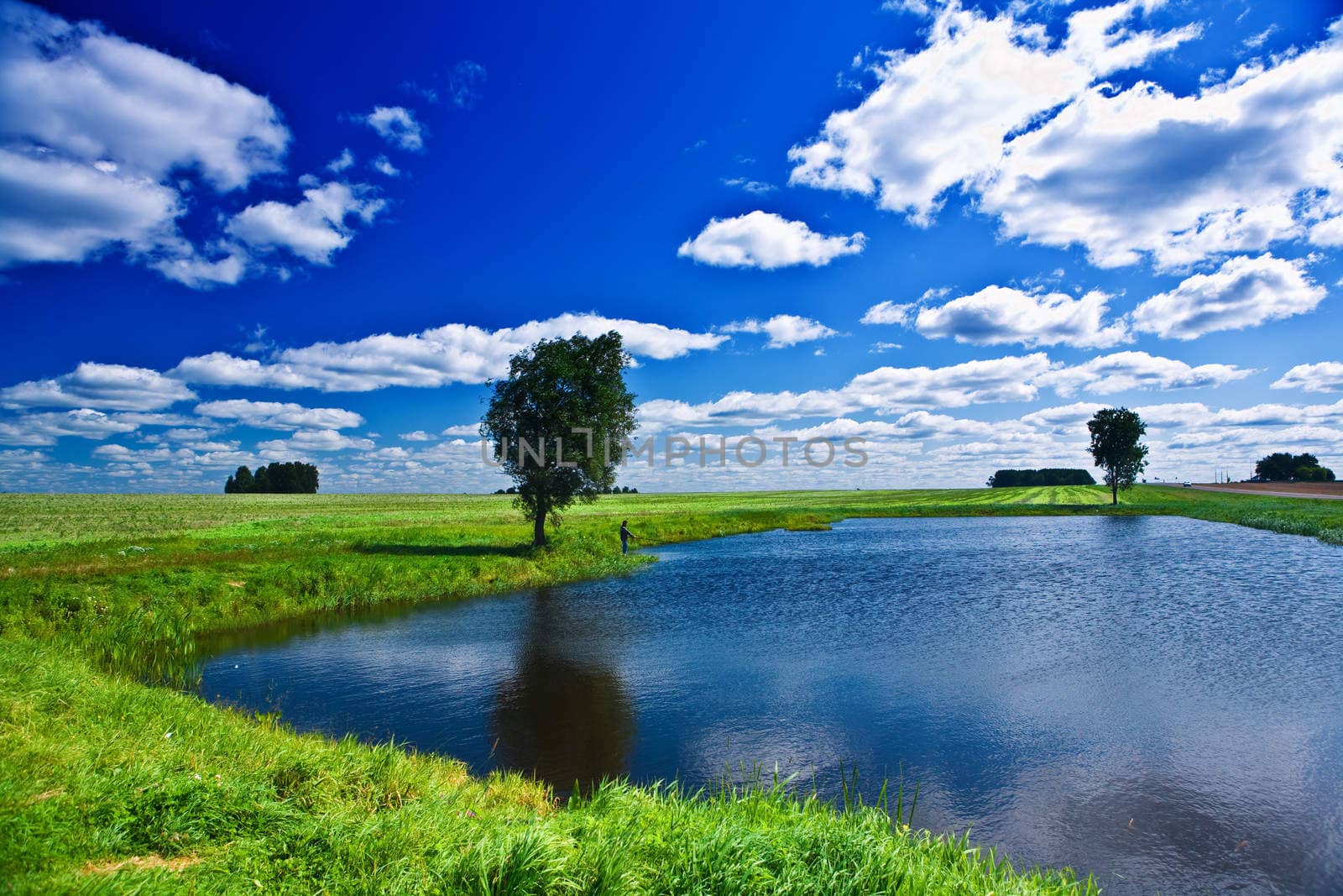 lake on a field
