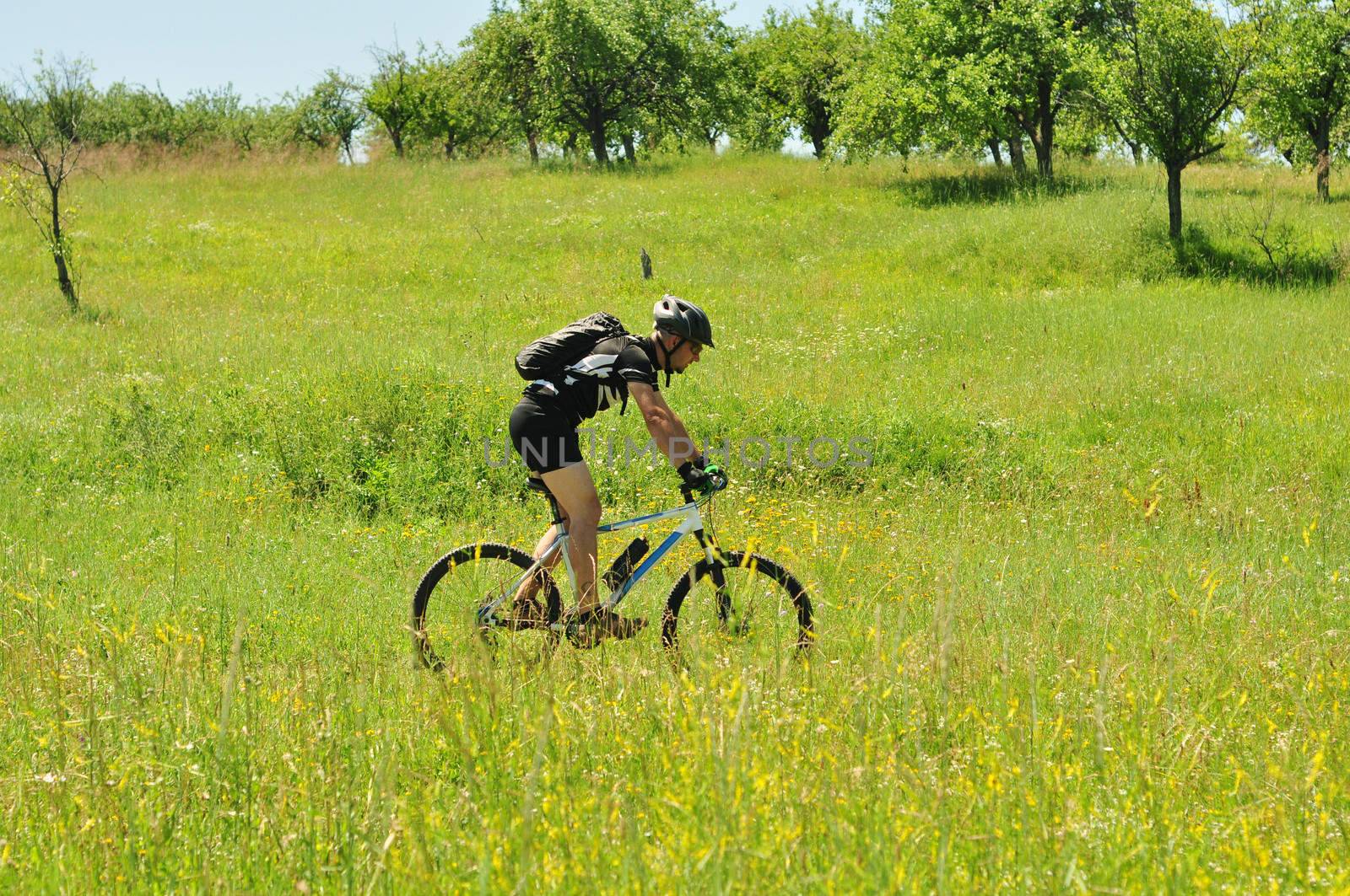 Cyclist on the Riding Bicycle Walk in Summer Nature outdoors