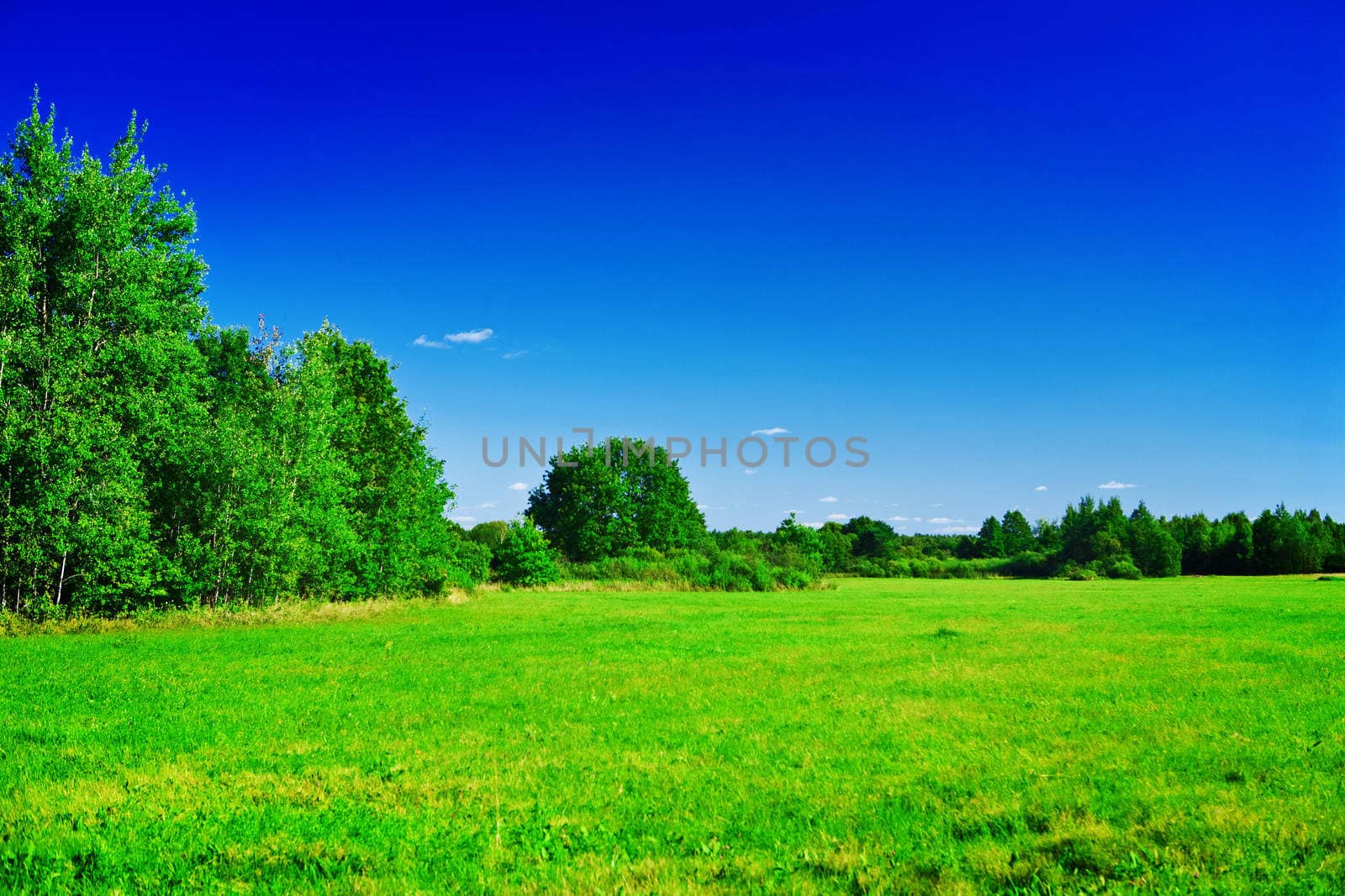 green meadow