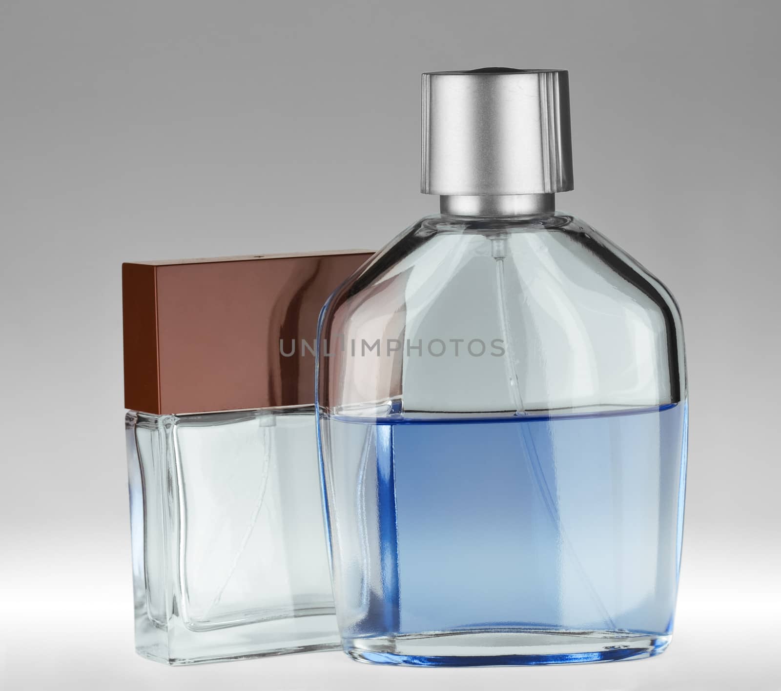 Perfumery composition