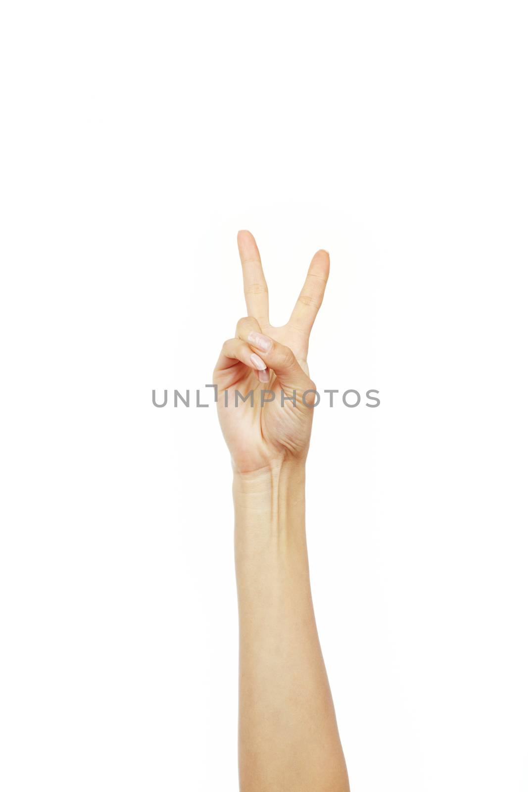 Close-up photo of the human hand with victory sign