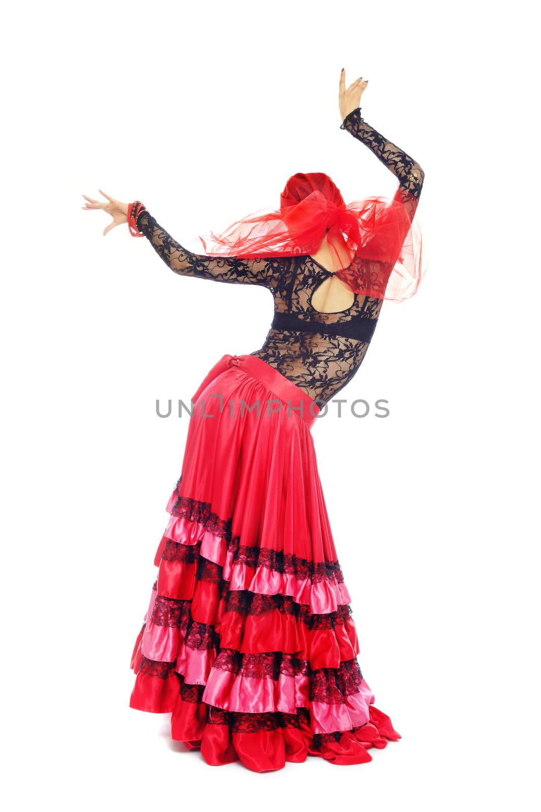 Flamenco by Novic