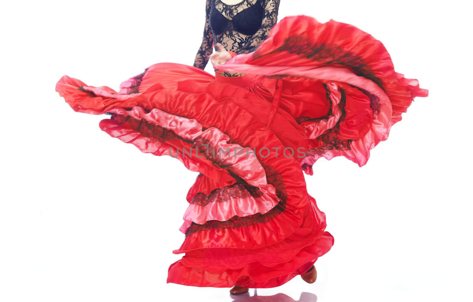 Close-up photo of the lady in gypsy costume dancing flamenco