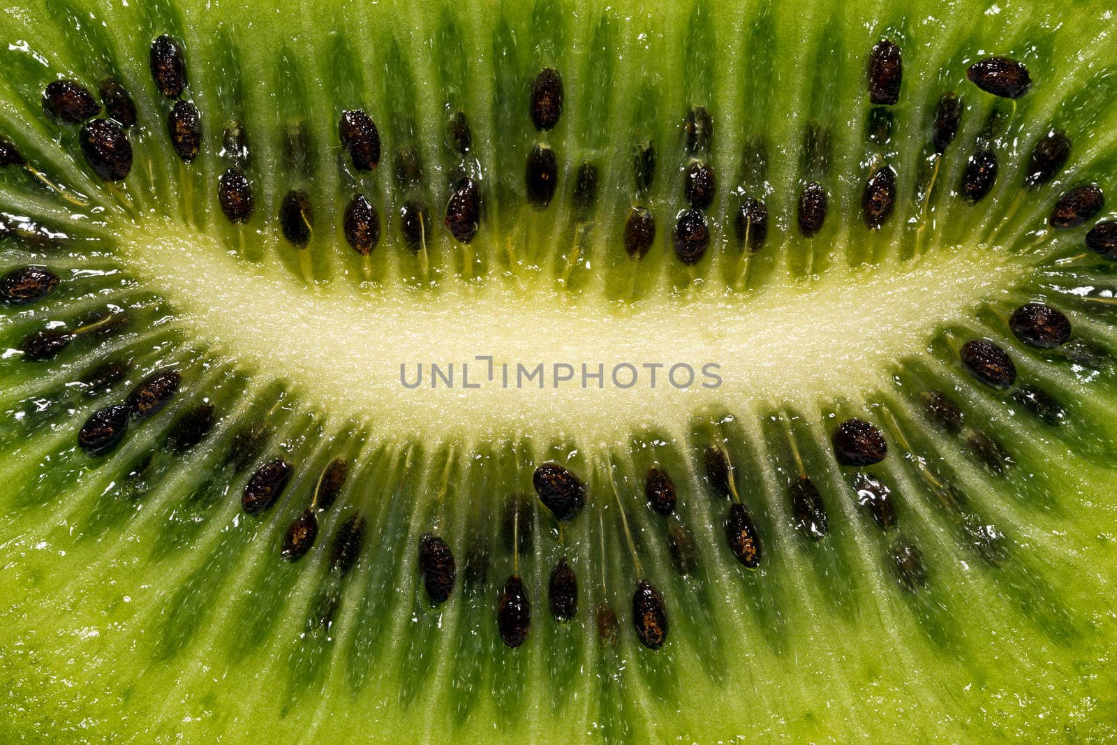 fruit of kiwi - macro