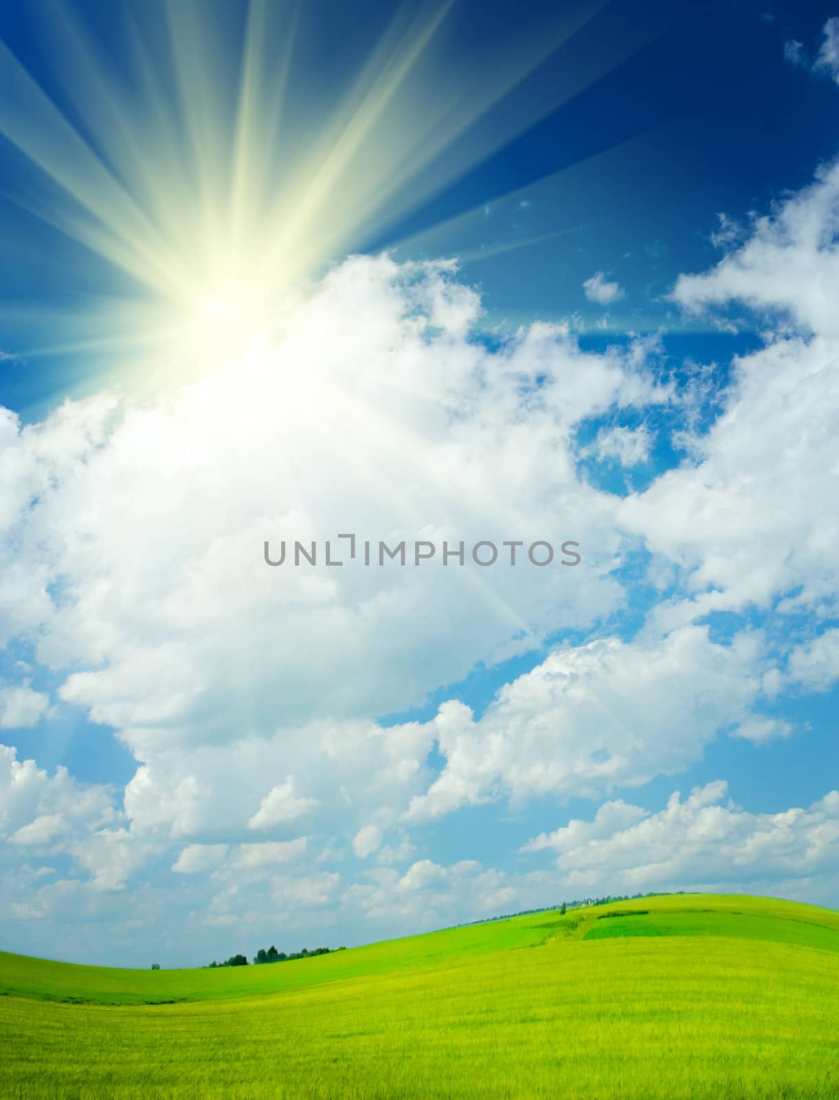 field and cloudy sky and sun on a rural scene