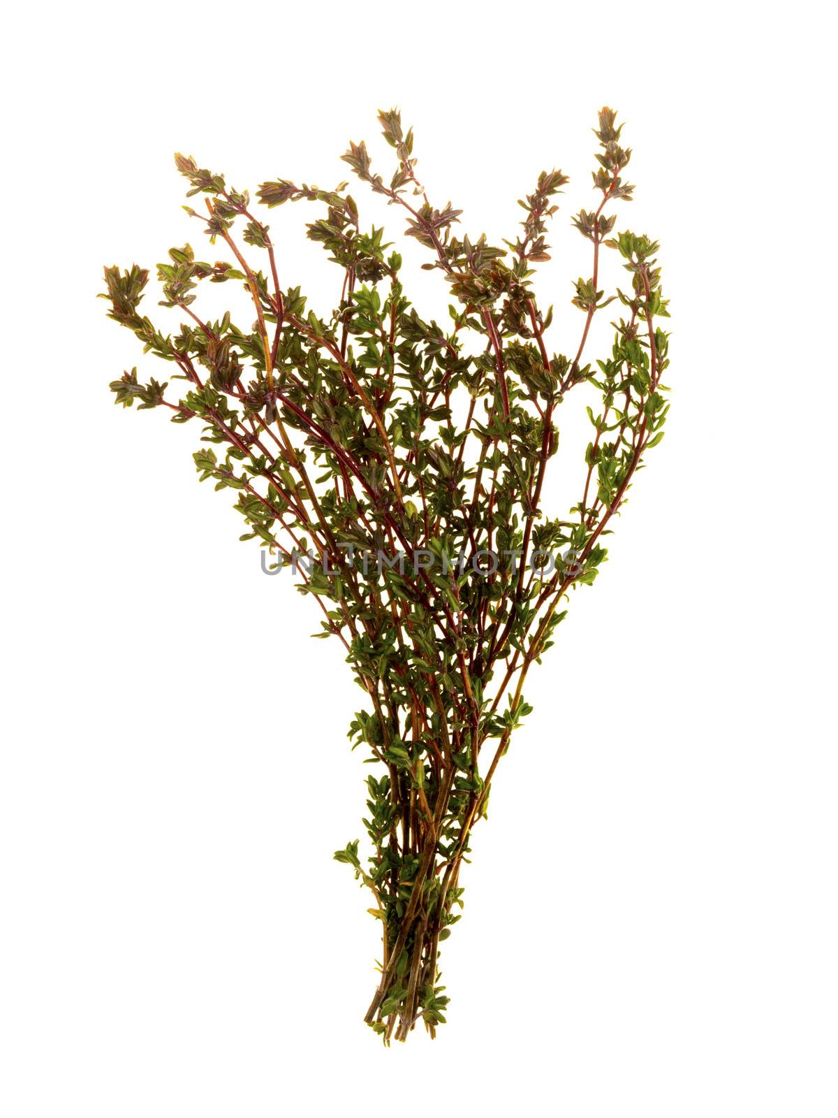 Thyme