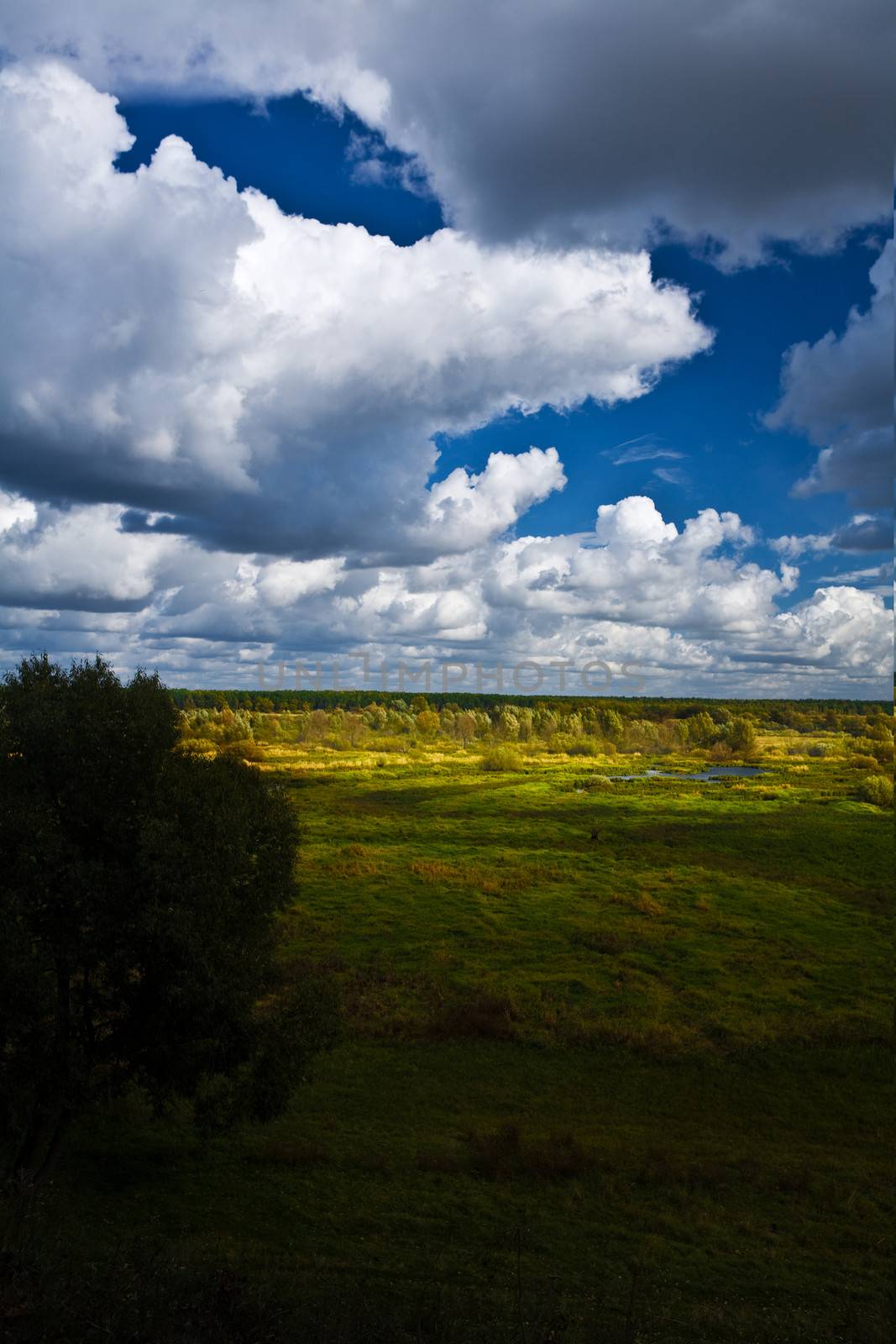 shaded landscape