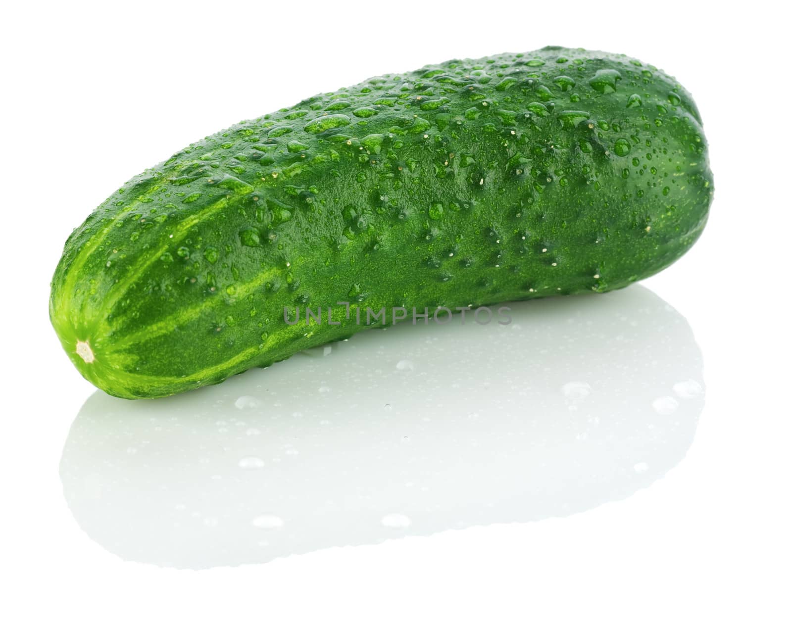 single dropped cucumber