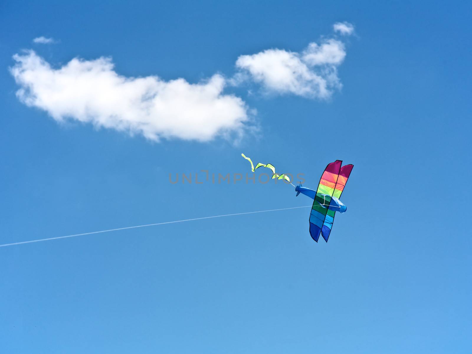 Kite Flying in the sky, fun for children