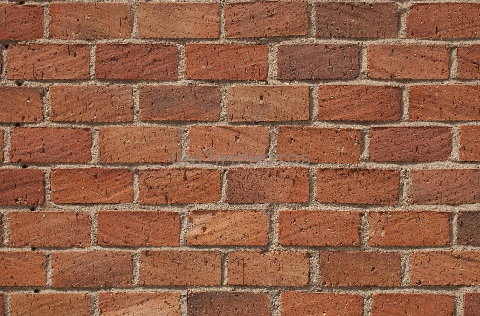 Red brick wall. by svitlana