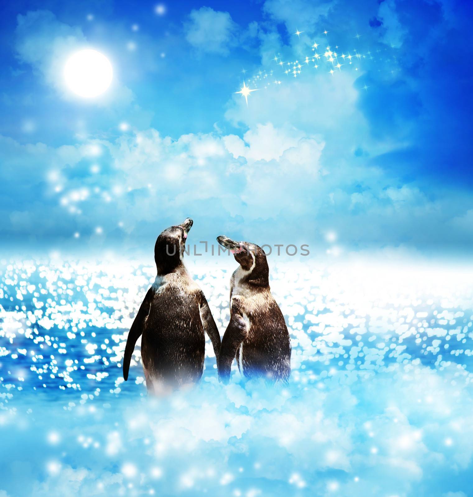 Penguin couple in night fantasy landscape by melpomene