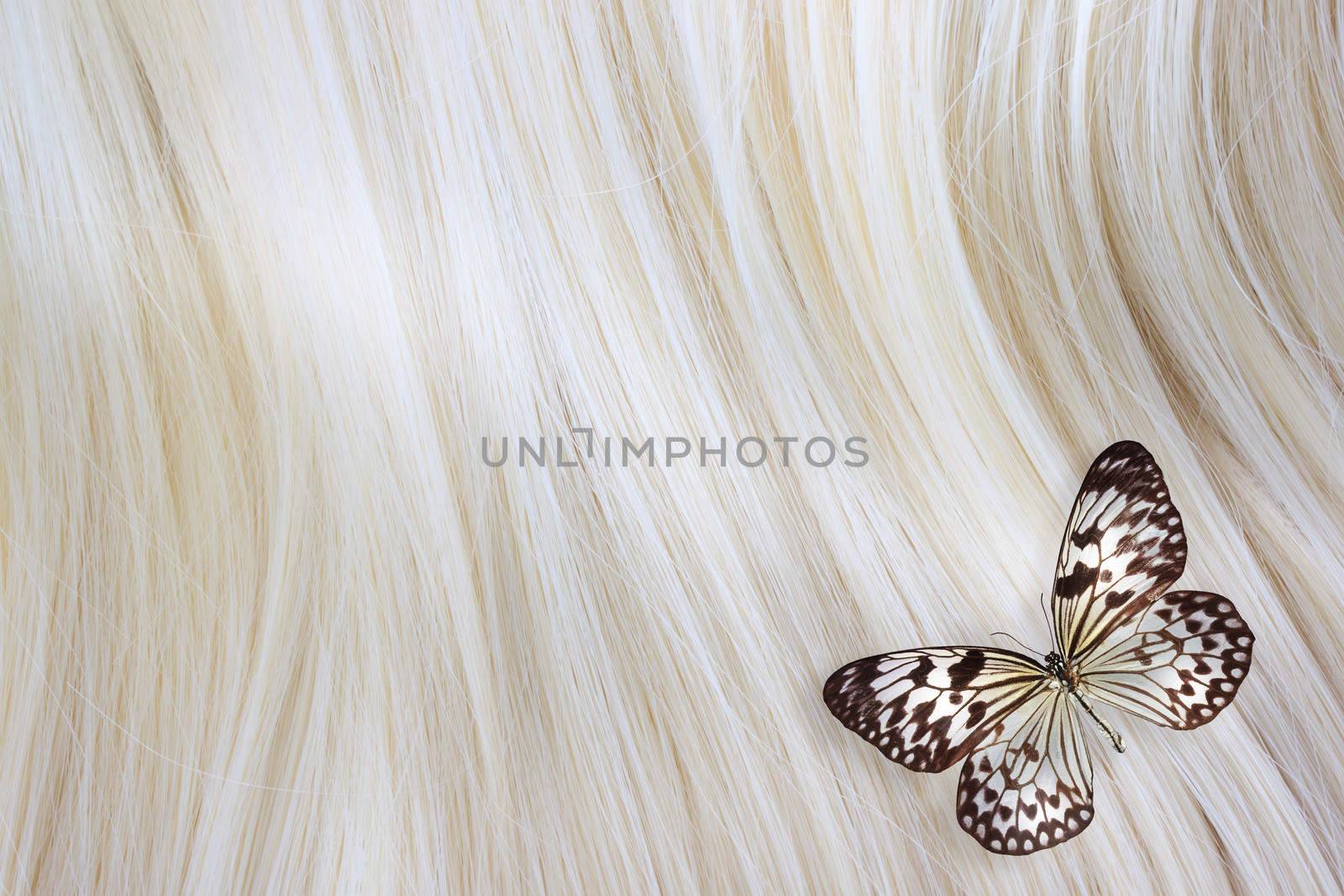 Healthy blonde hair with a Paper Kite butterfly - close up image