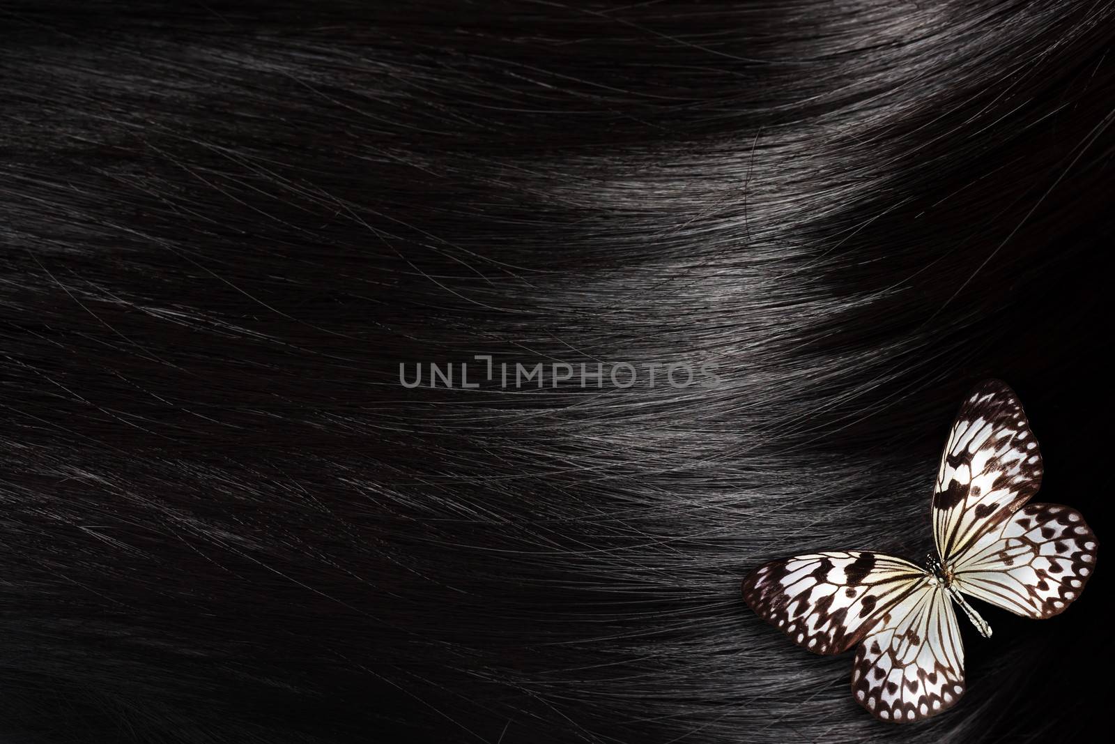 Healthy black hair with a Paper Kite butterfly - close up image