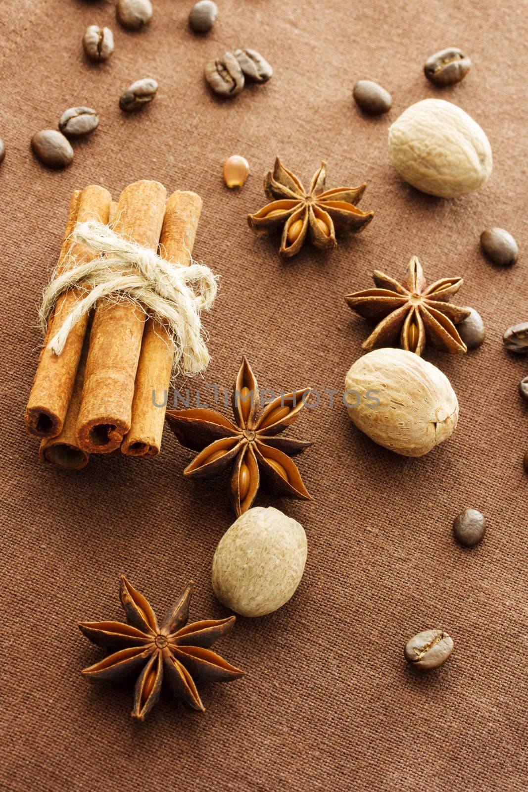 Star anise, cinnamon sticks, nutmeg and coffee beans by melpomene