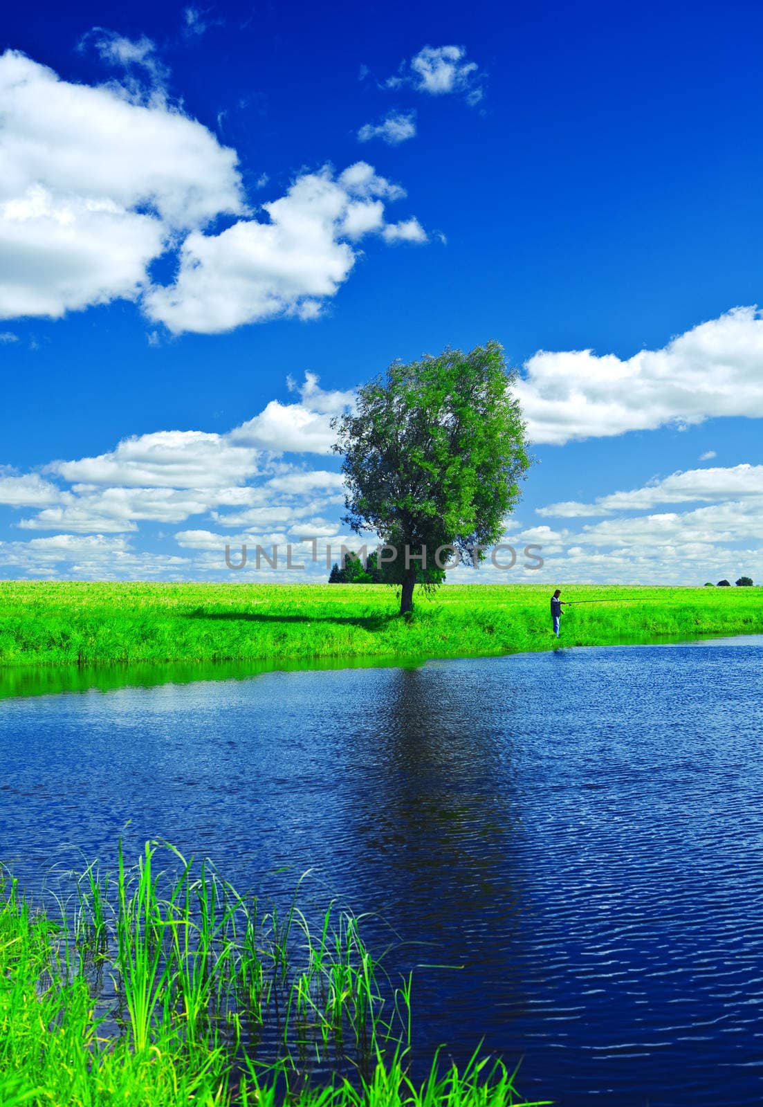 lake on the summer field by mihalec