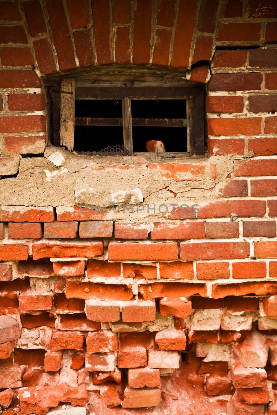 old window in a old brick wall