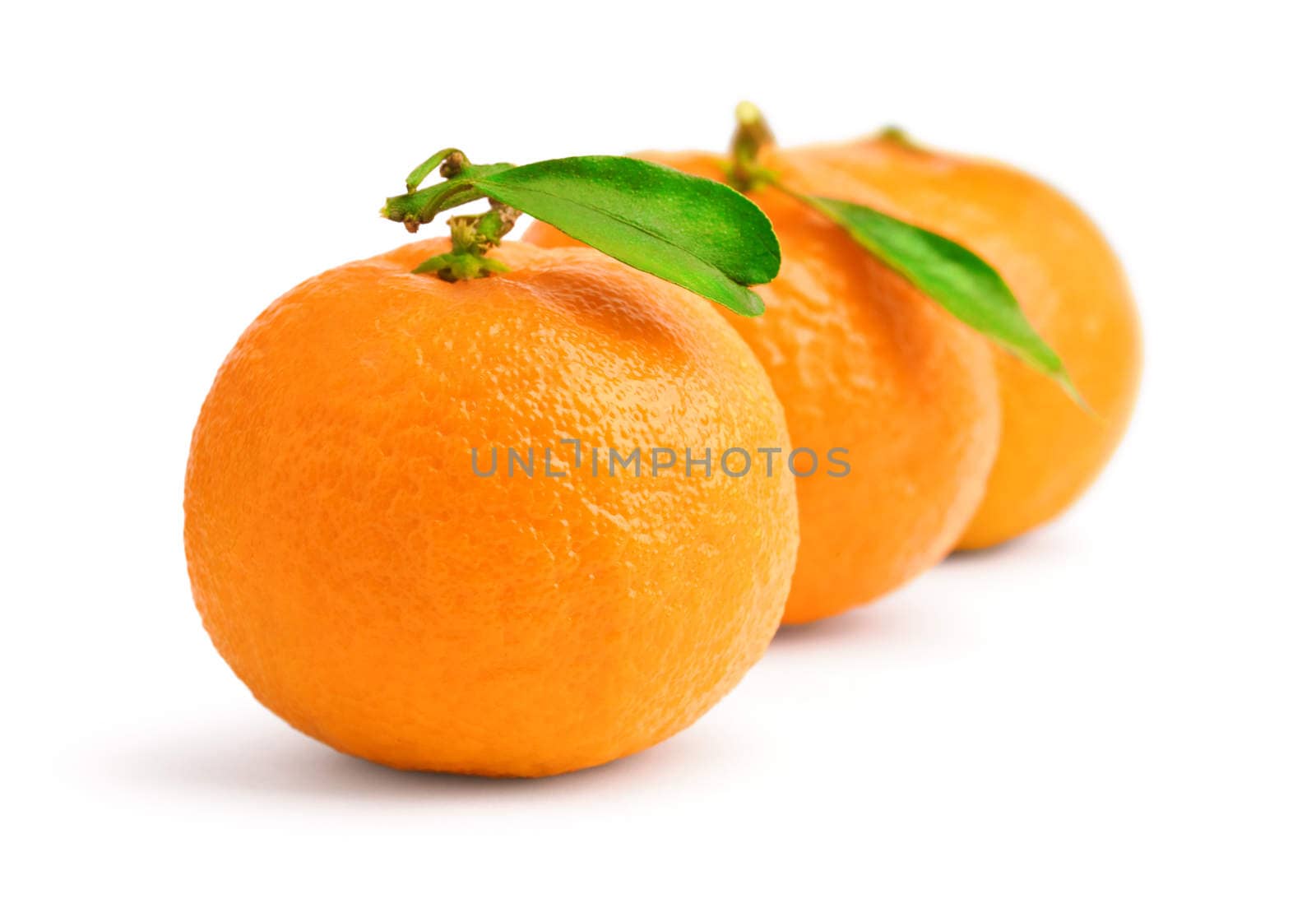three tangerine isolated
