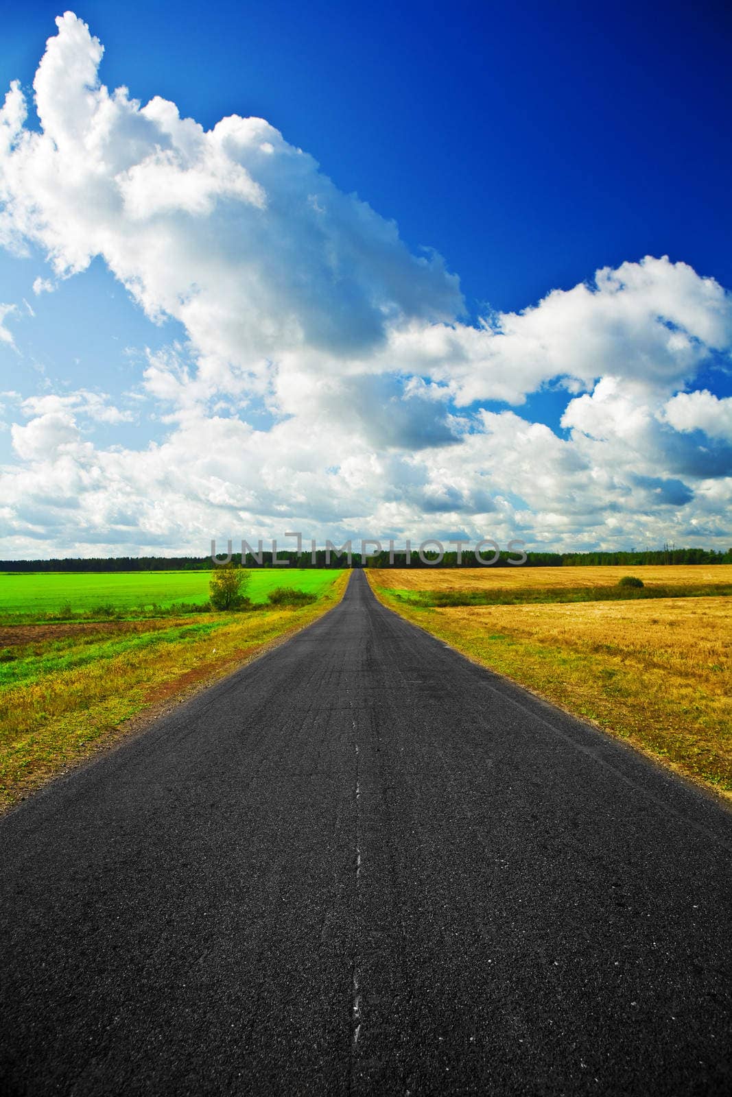 road on a field
