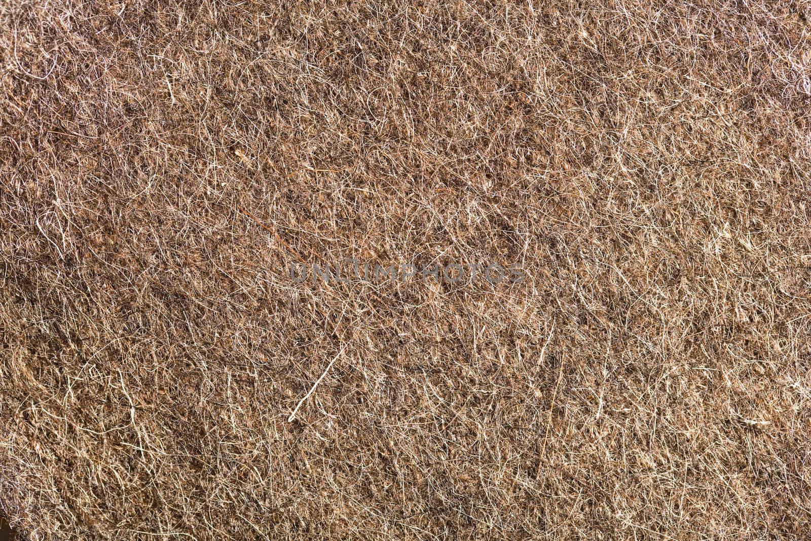 texture of  felt