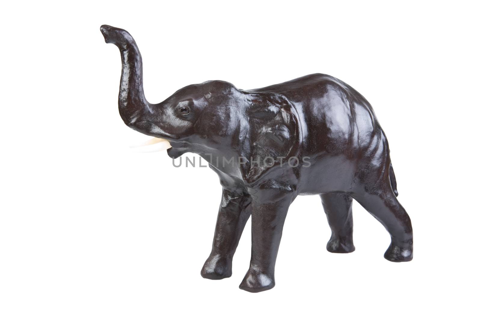 brawn elefant