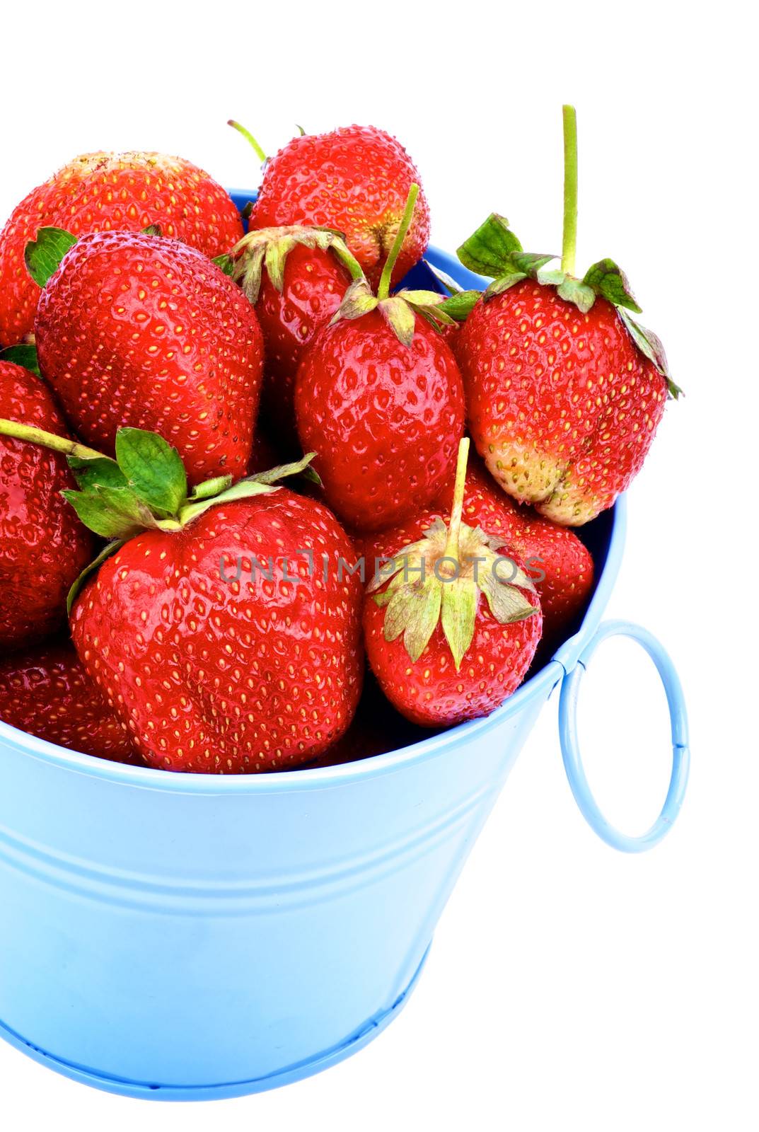 Strawberries in Blue Bucket by zhekos