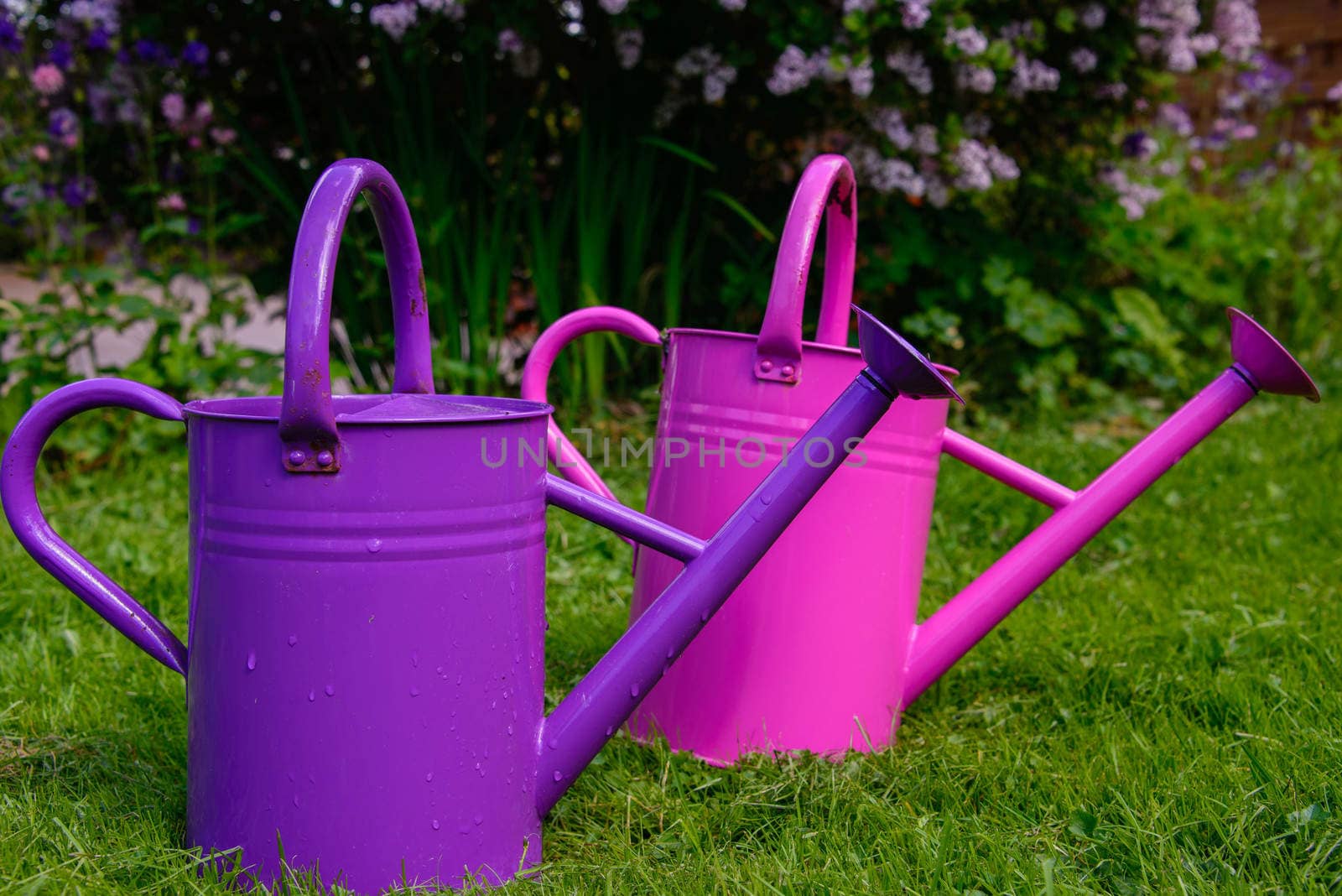 Watering cans by GryT