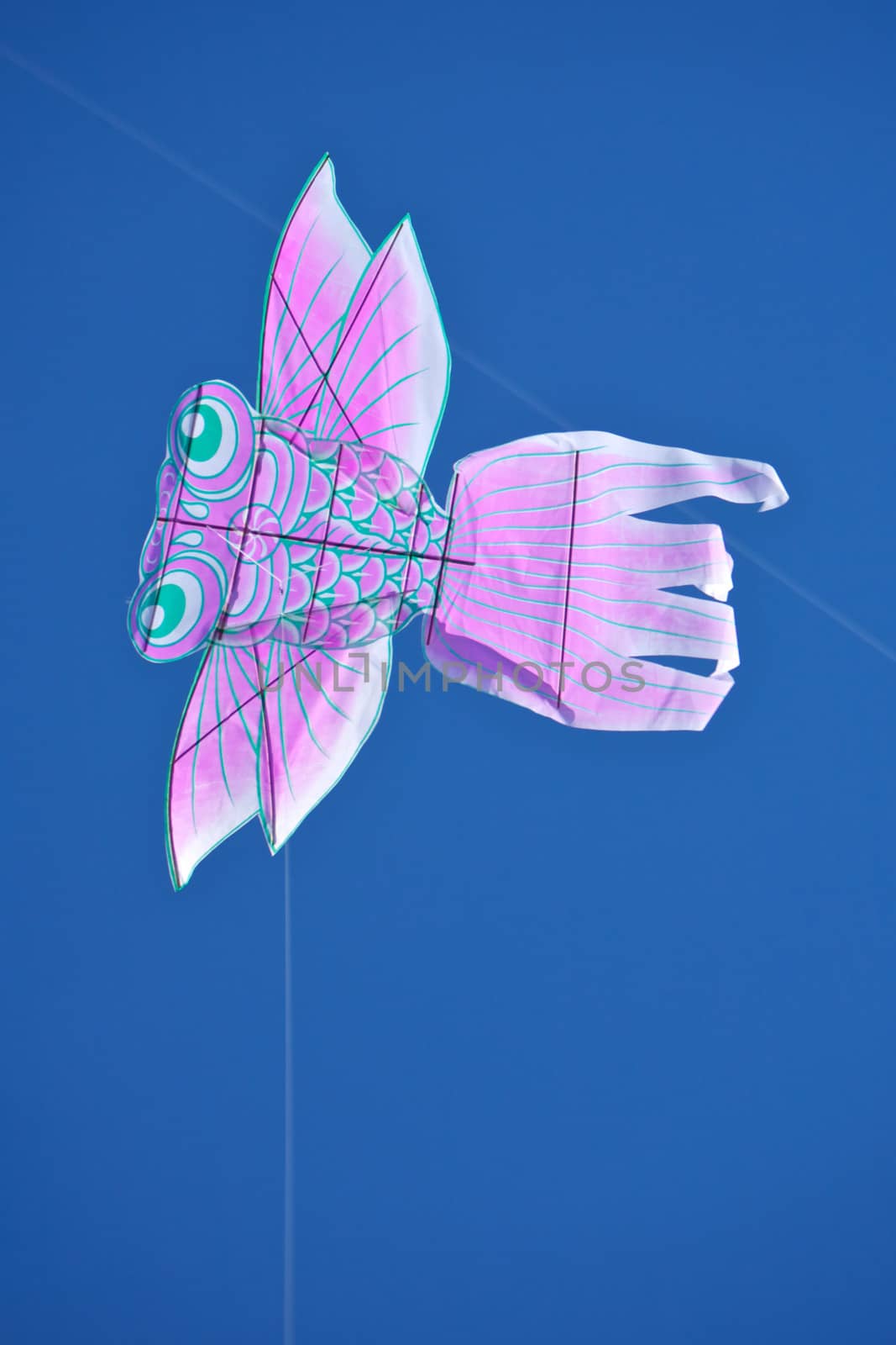 A flying kite in the sky