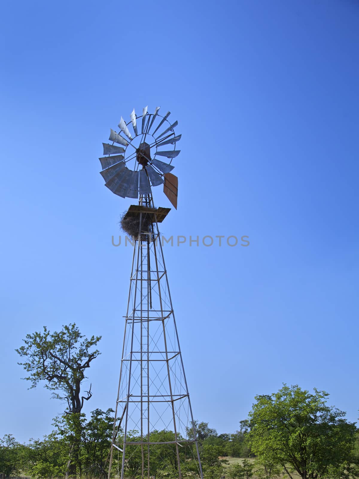 Windmill in a Rural Farm