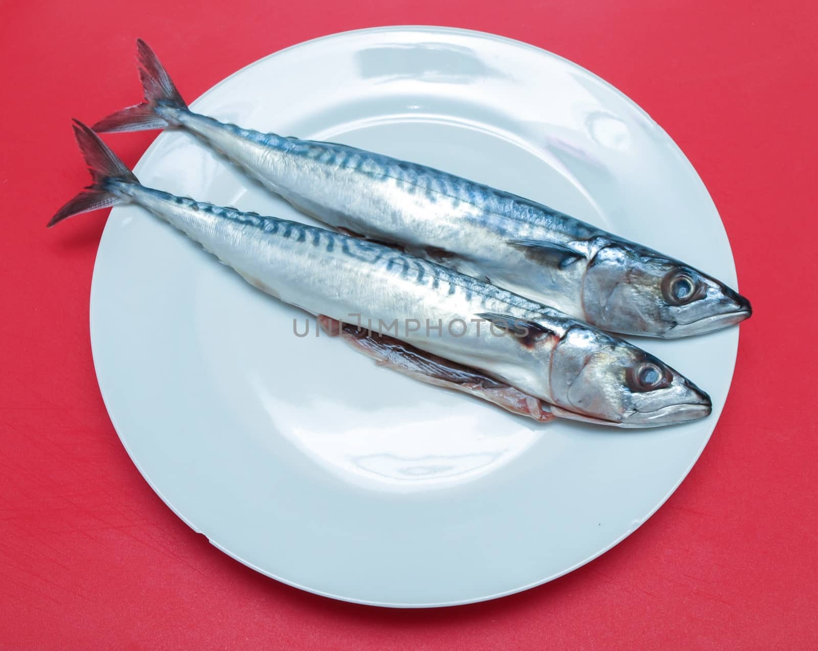 Raw mackerel fish on white plate, towards red chopping board