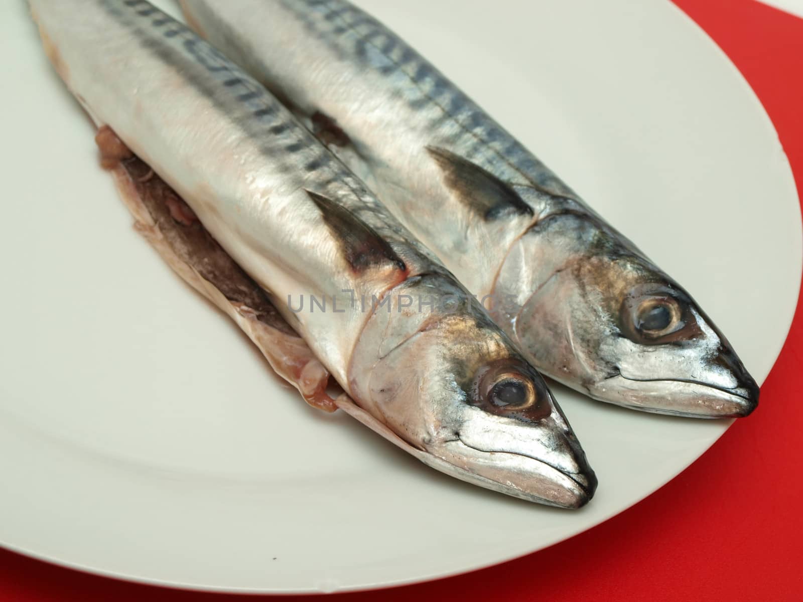 Raw mackerel fish on white plate, towards red chopping board