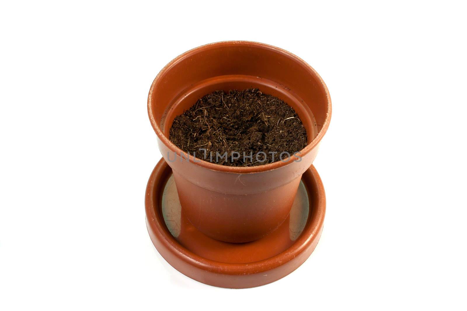 Brown pot to sow vegetables in house