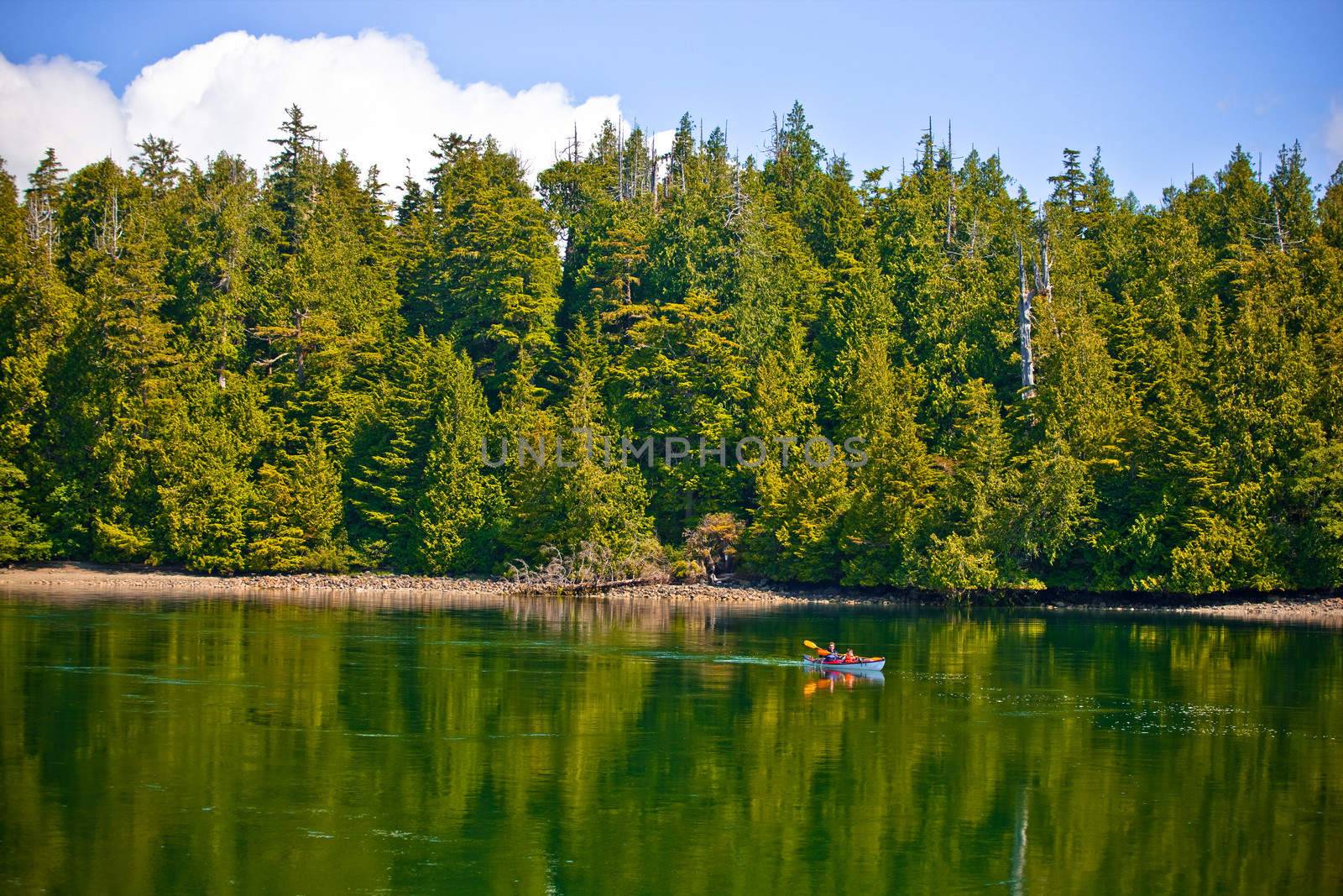 Canoe in a placid river or lake with a pine tree forest in back