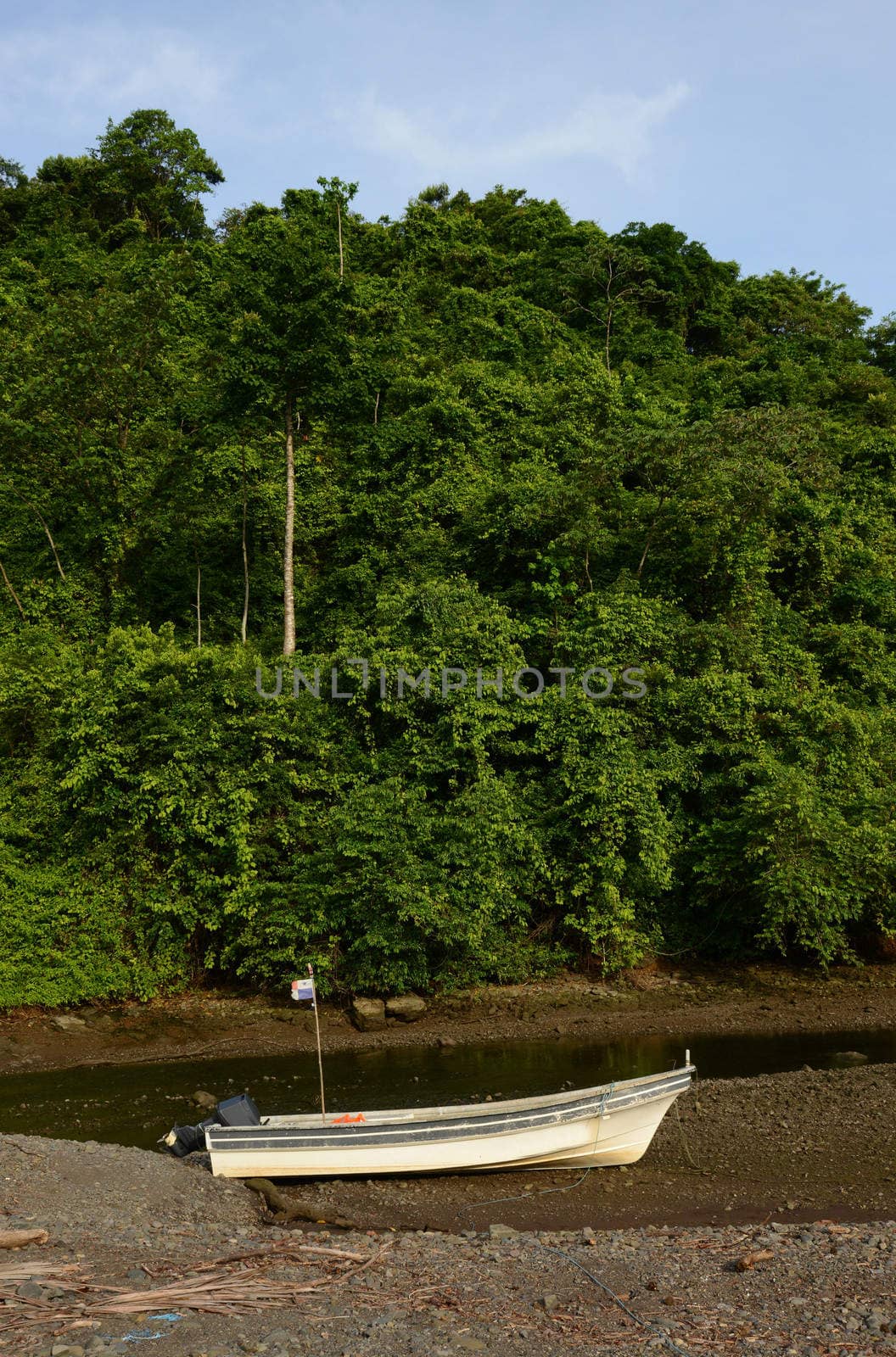 boat in ocean with lush tropical foliage by ftlaudgirl