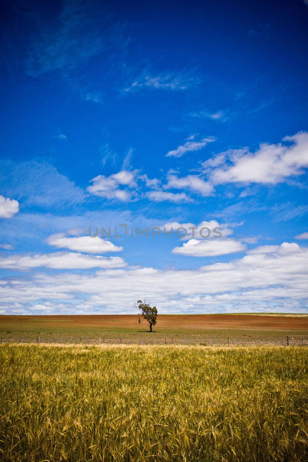 Iimmense blue sky and fields by jrstock