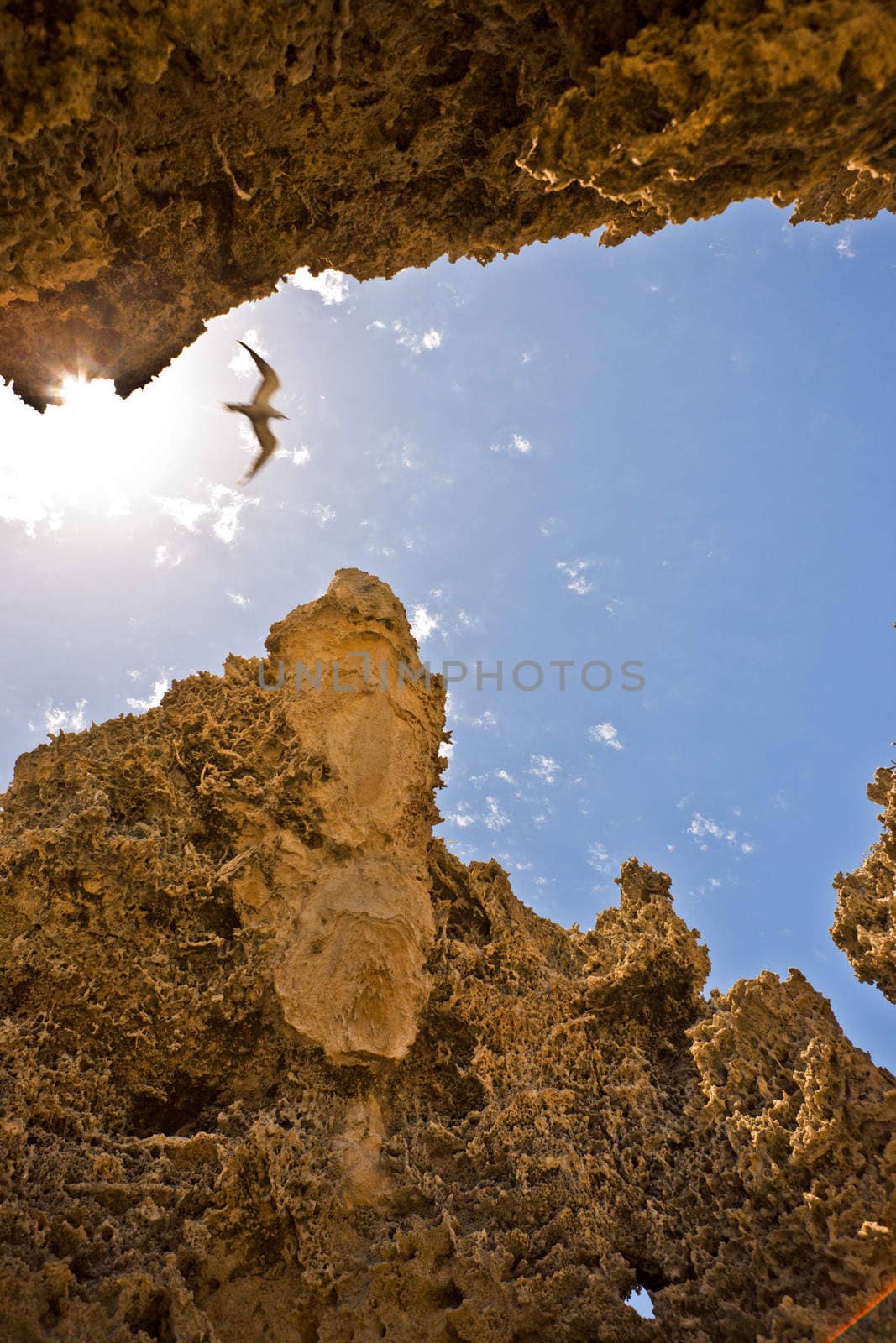 Serene image of a seagull flying between rocks at a beach.
