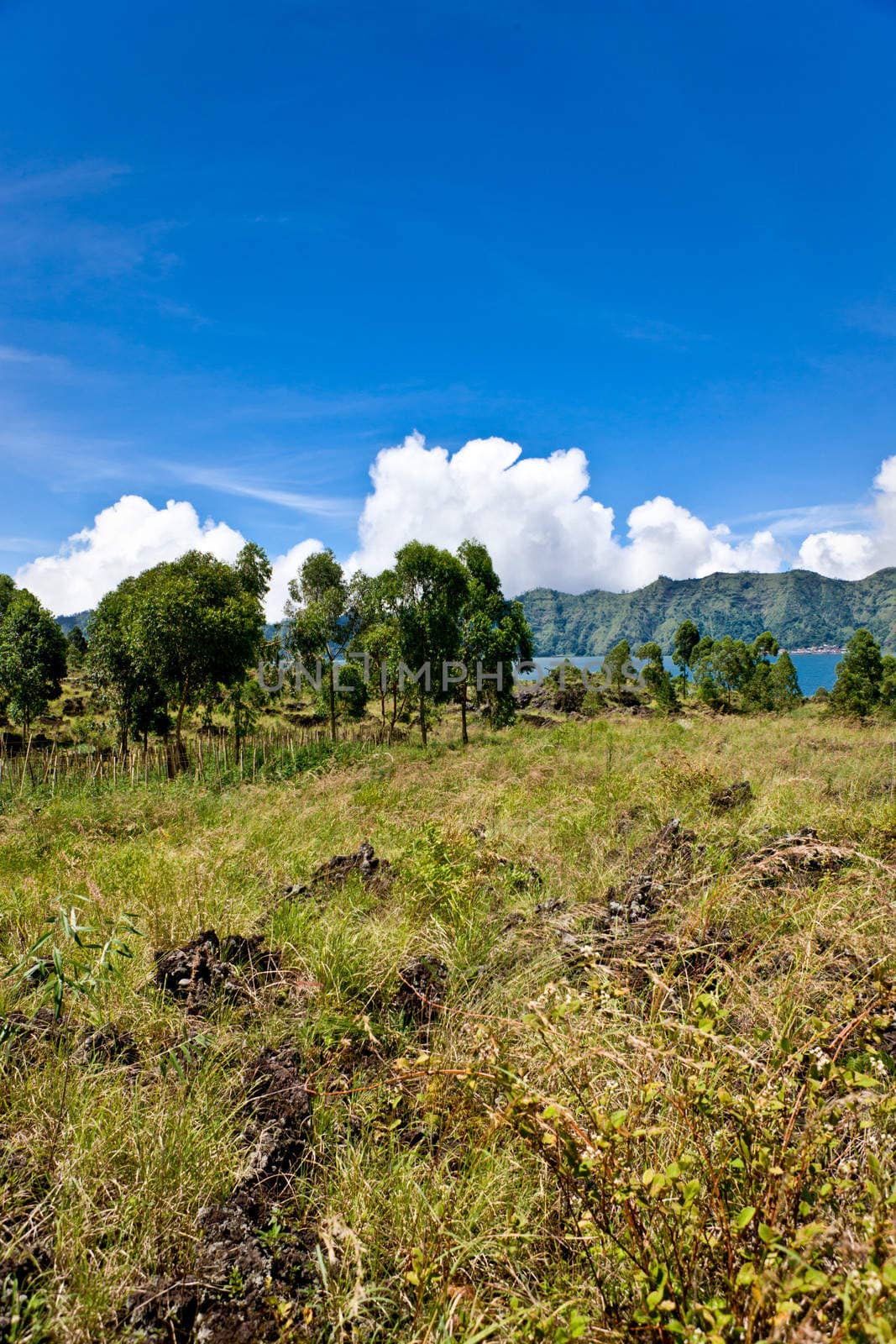 Grass ledge and ocean along coast over the bright blue sky