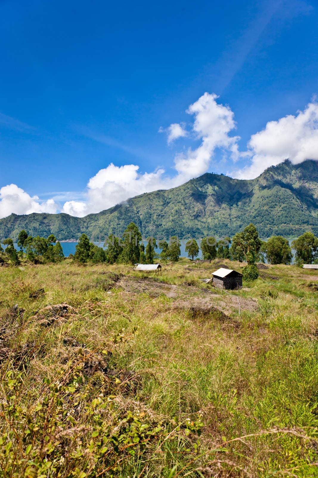 Landscape field with little hut over the mountain background