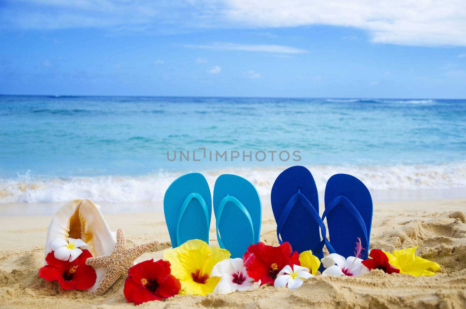 Flip flops, seashell and starfish with tropical flowers on sandy beach in Hawaii, Kauai