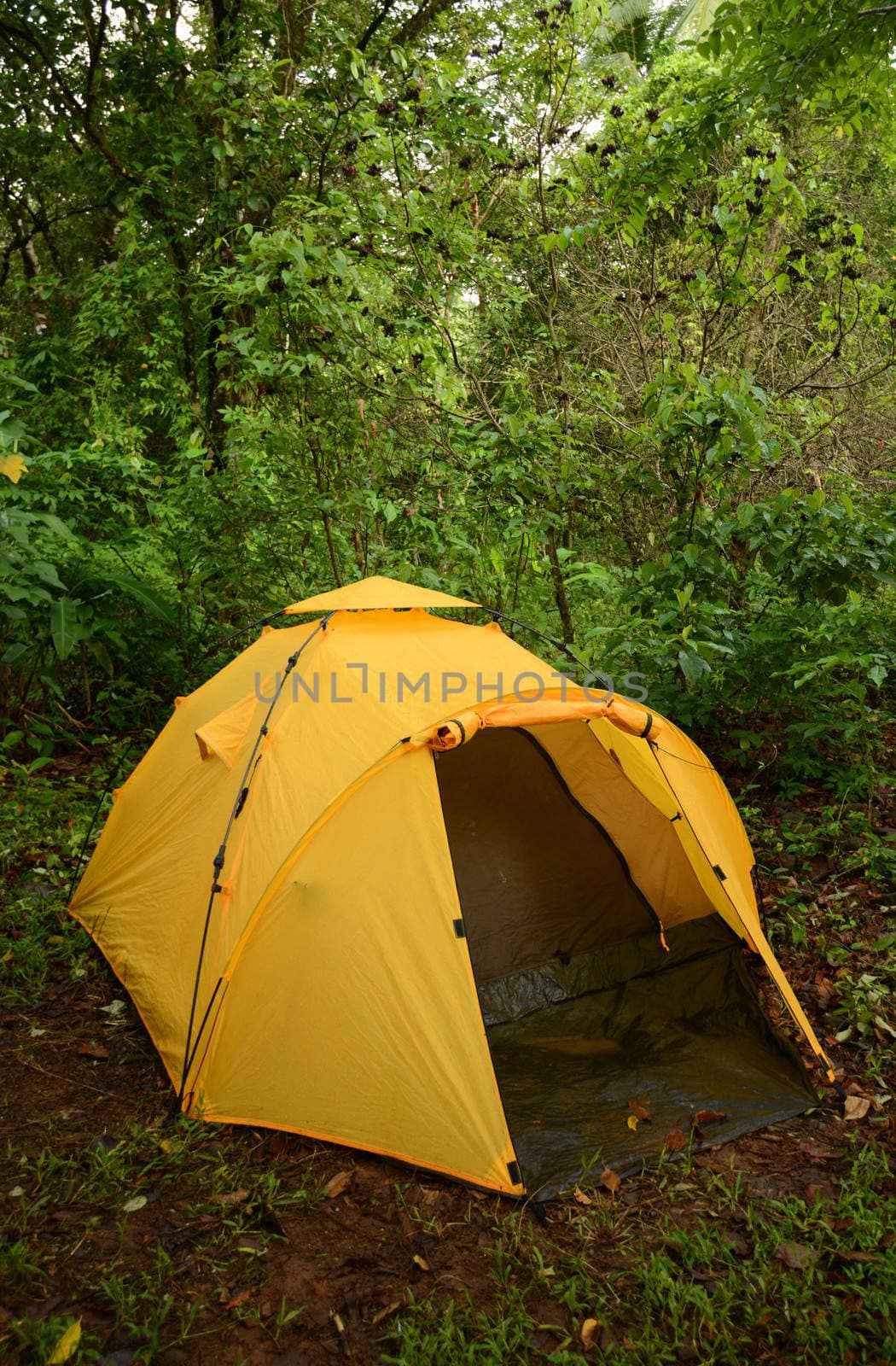 Camping with a yellow tent in the wilderness in Central America