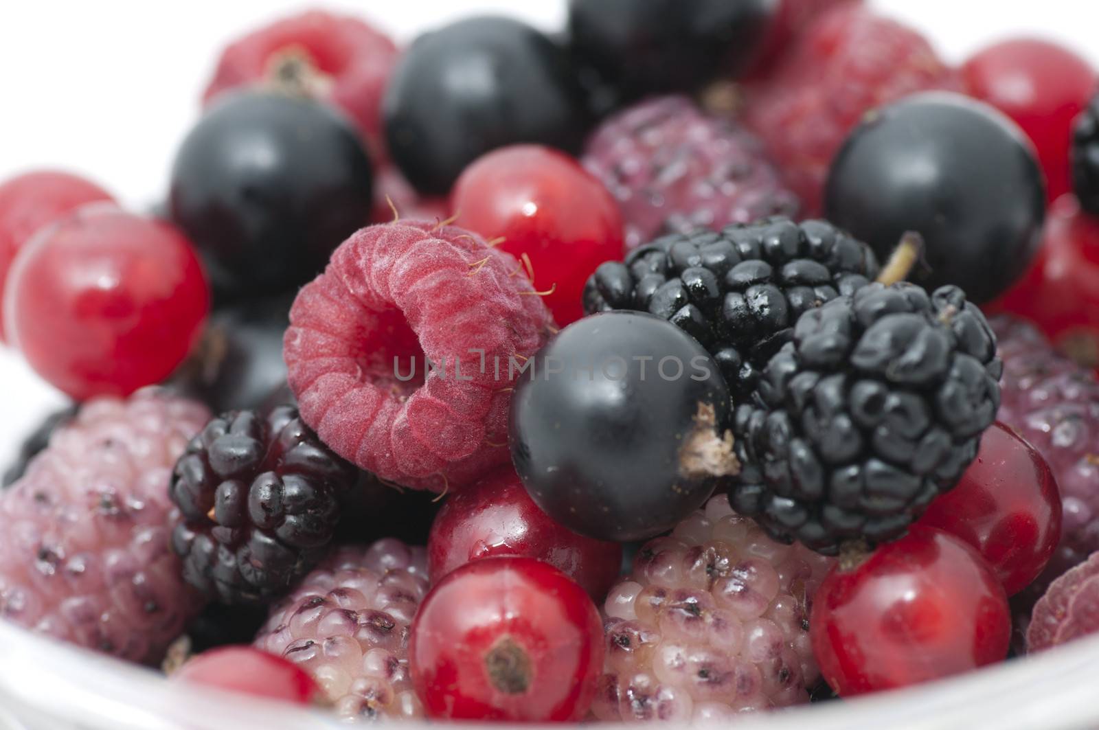 Mix of ripe organic berries close up