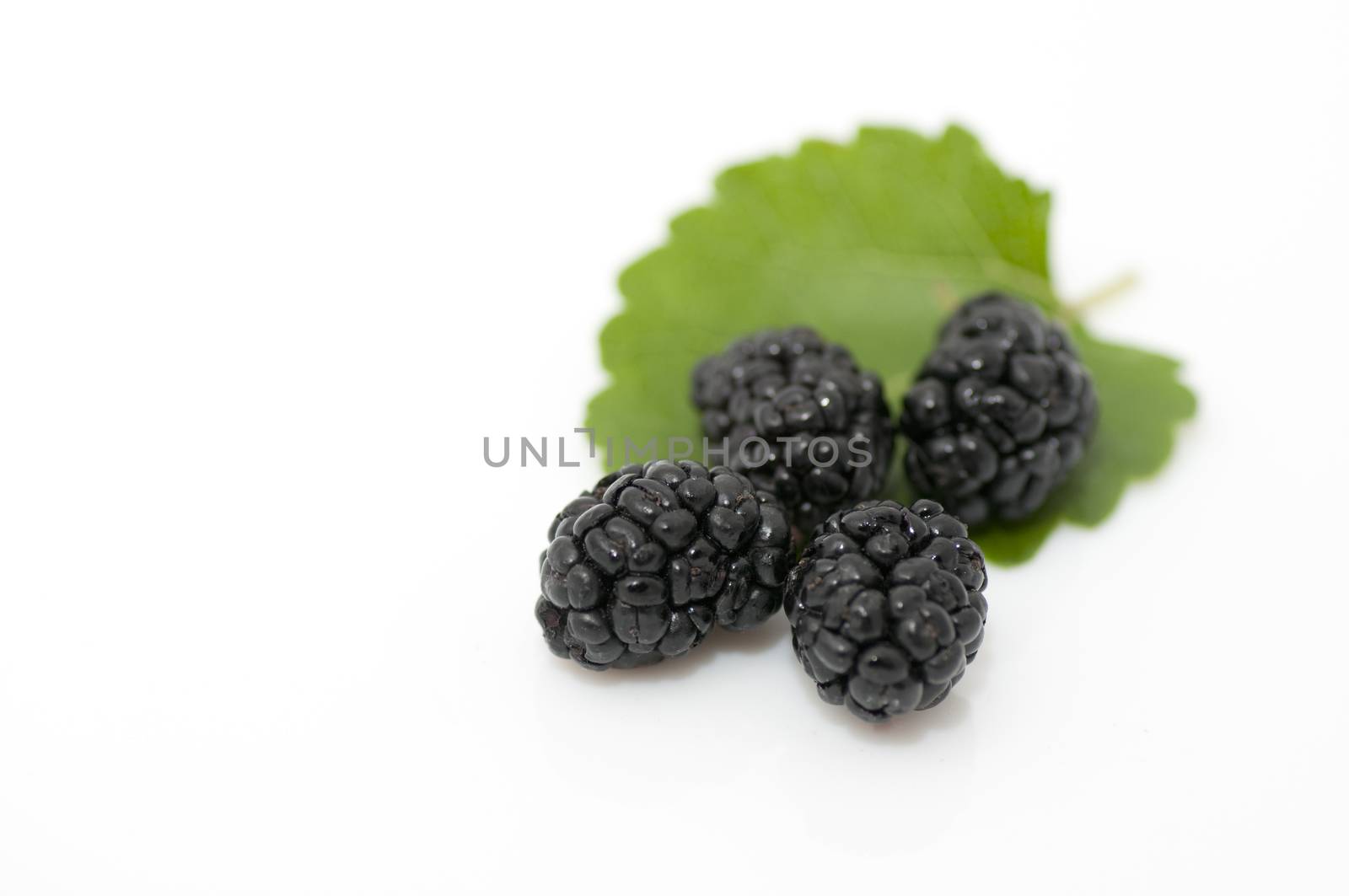 Fresh ripe organic mulberries on white background