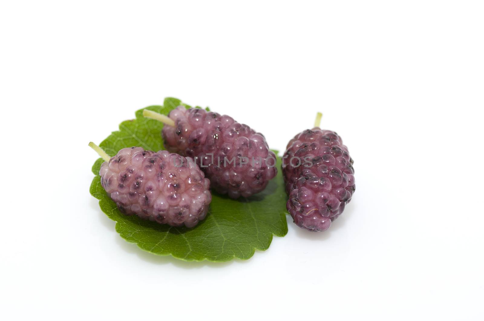 Fresh ripe organic mulberries on white background