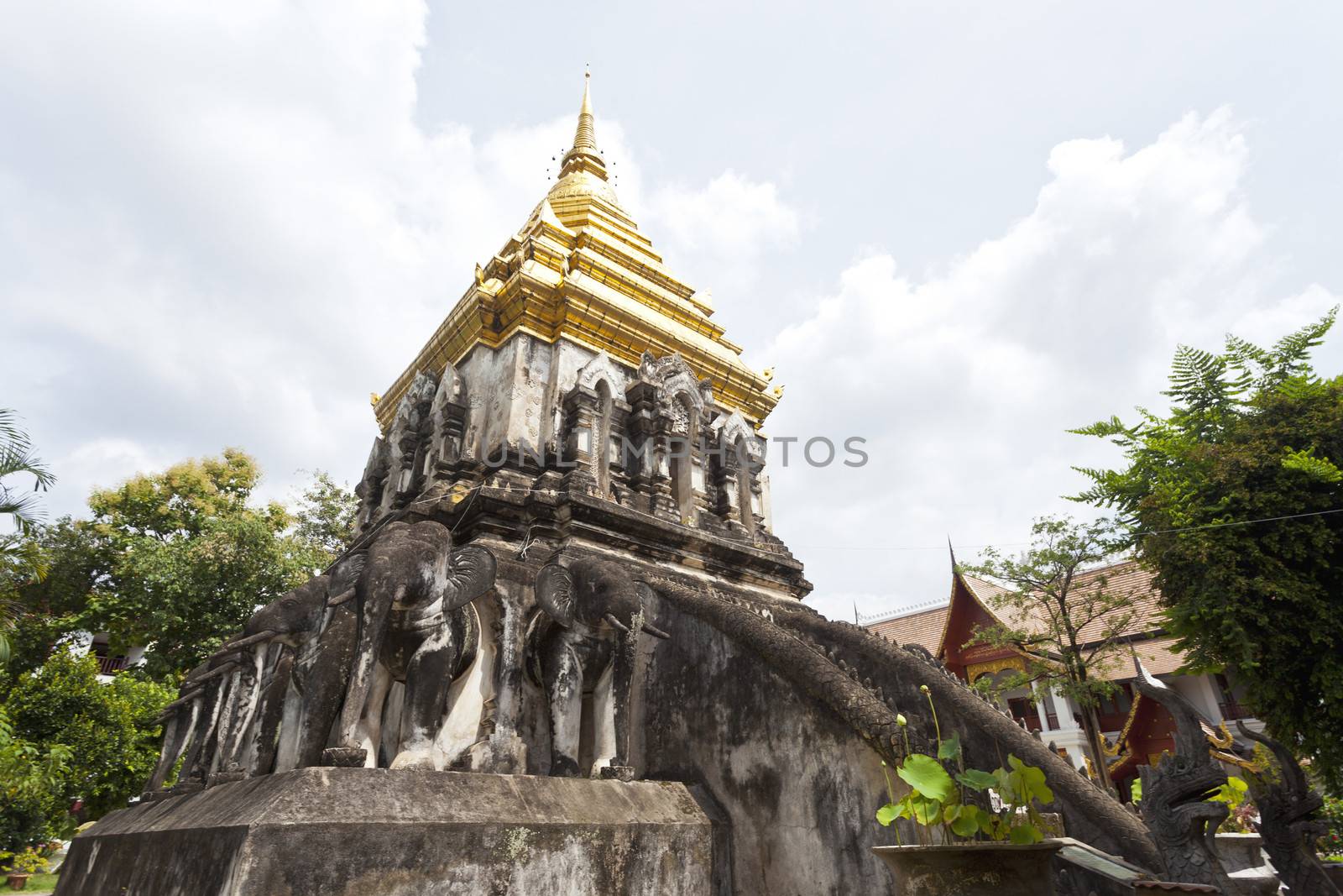 Wat Chiang Man temple in Chiang Mai, Thailand.