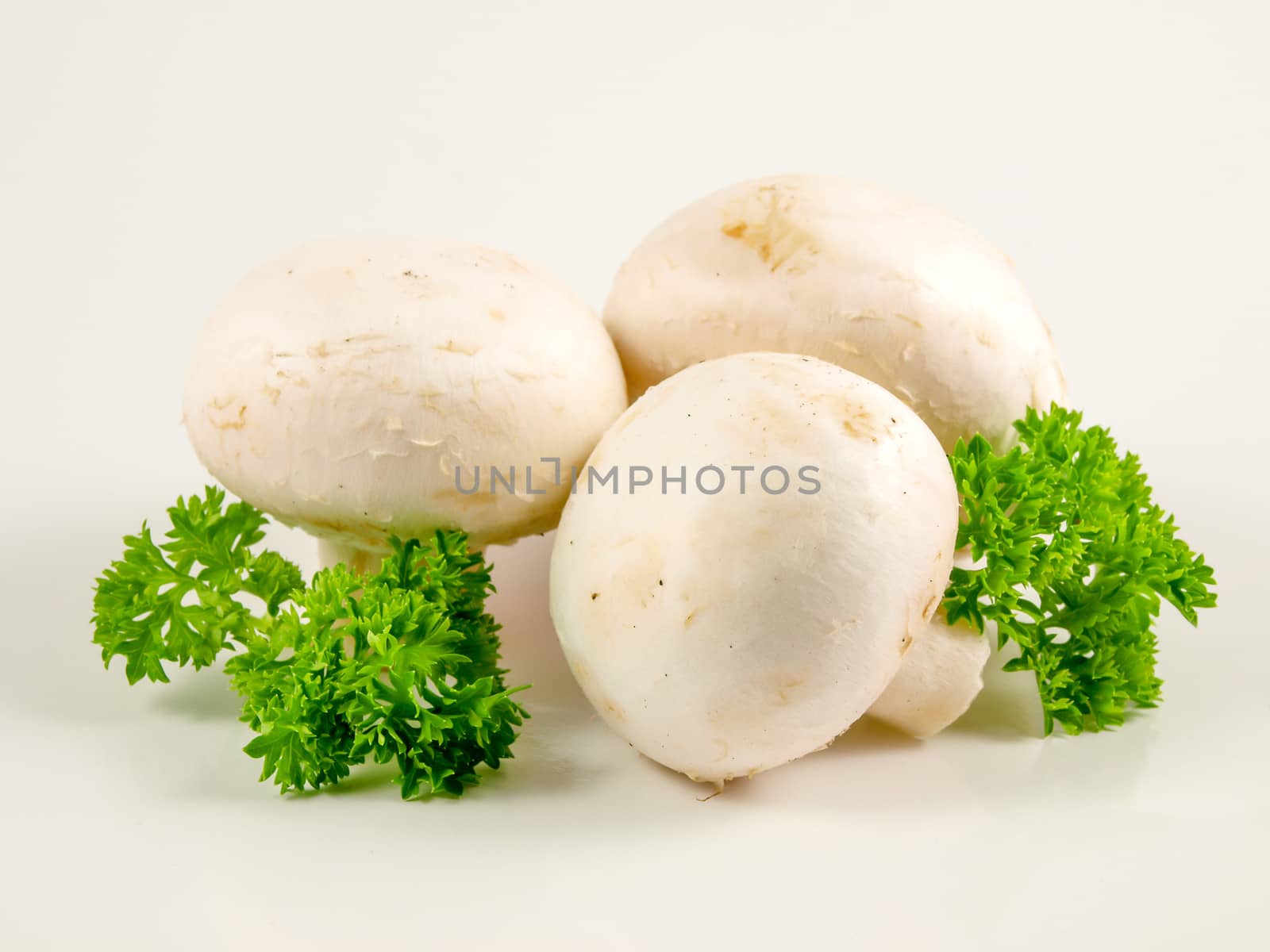 Champignon mushrooms and parsley by Arvebettum
